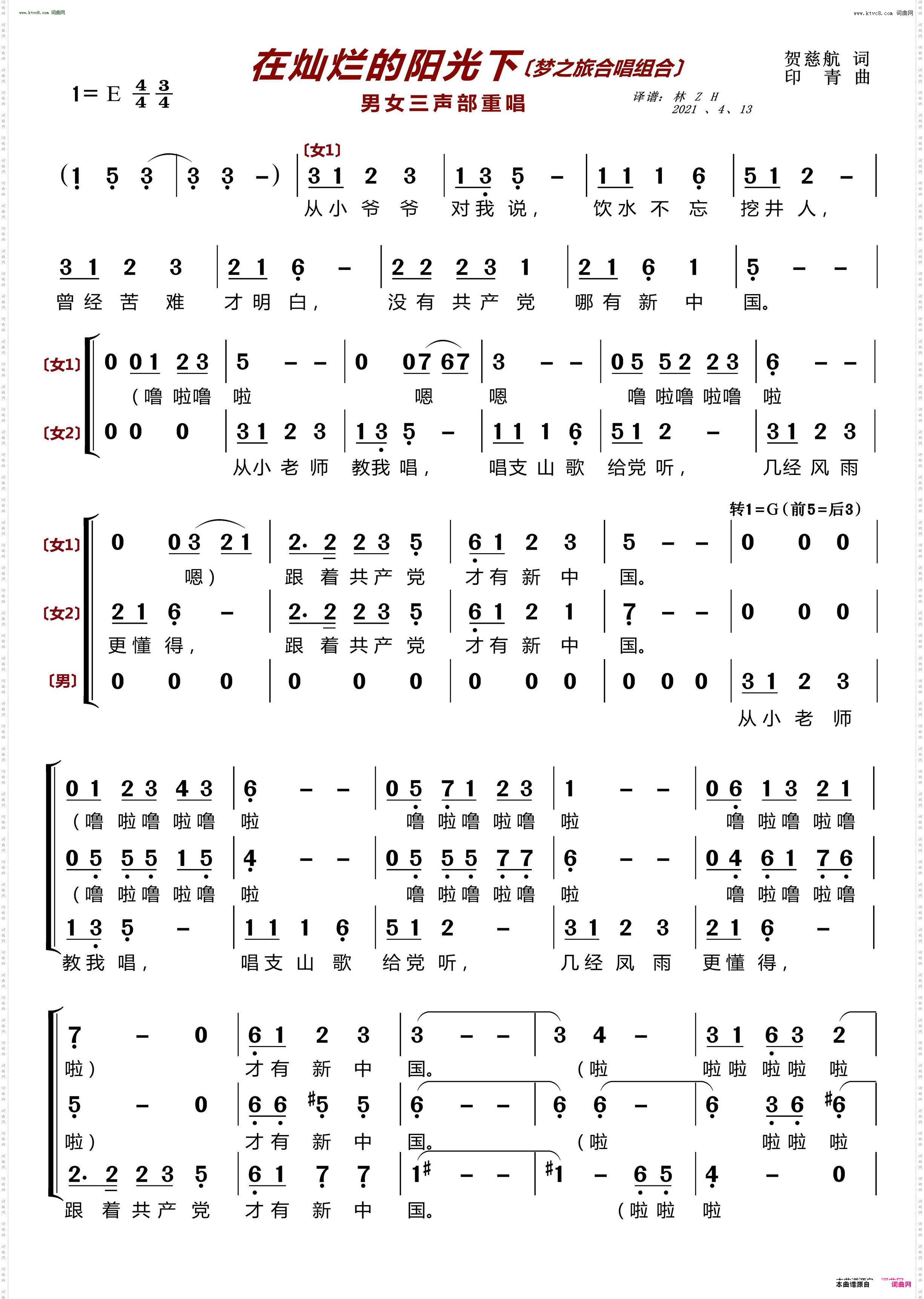 在灿烂的阳光下