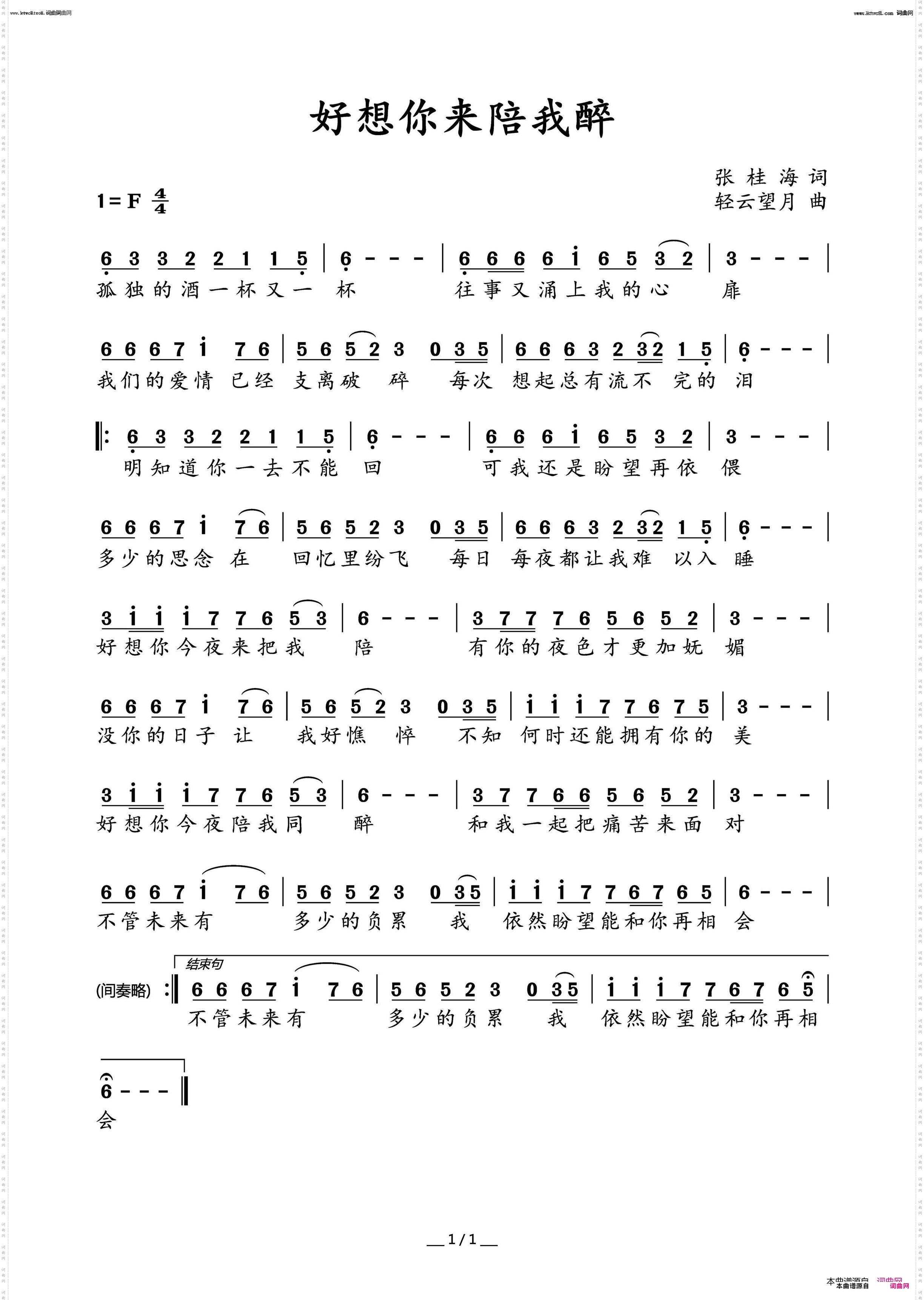 好想你来陪我醉