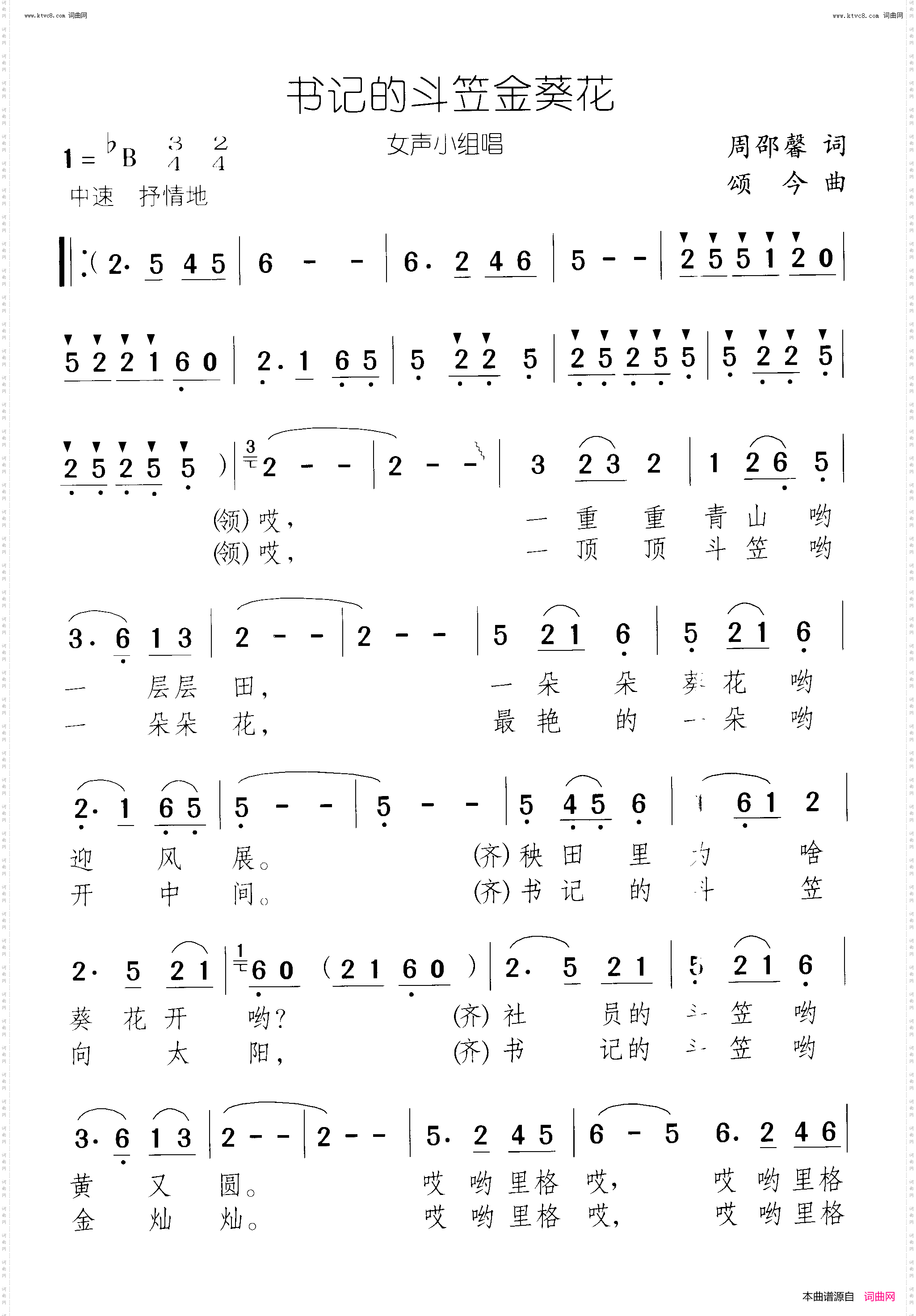 书记的斗笠金葵花