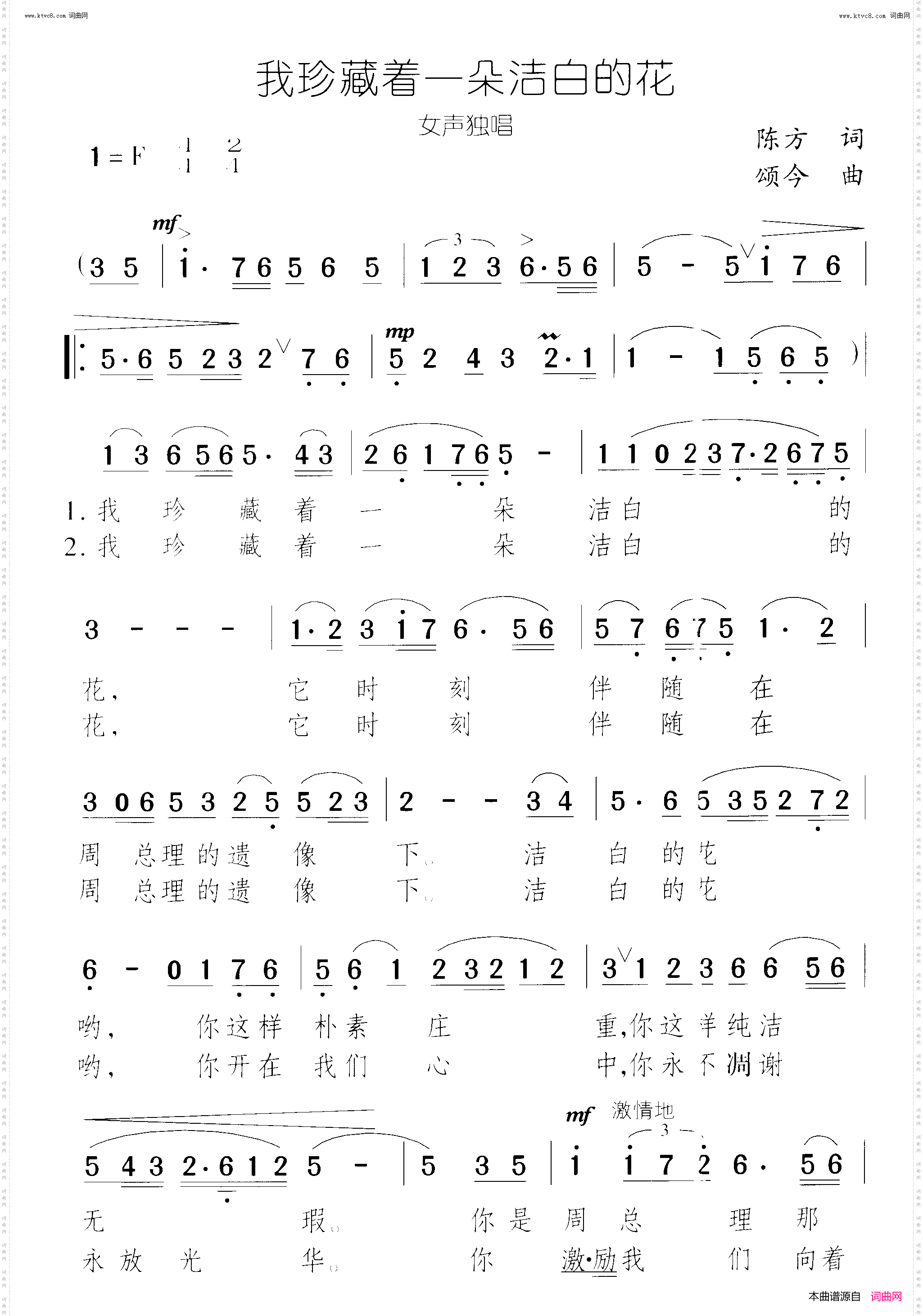 我珍藏着一朵洁白的花