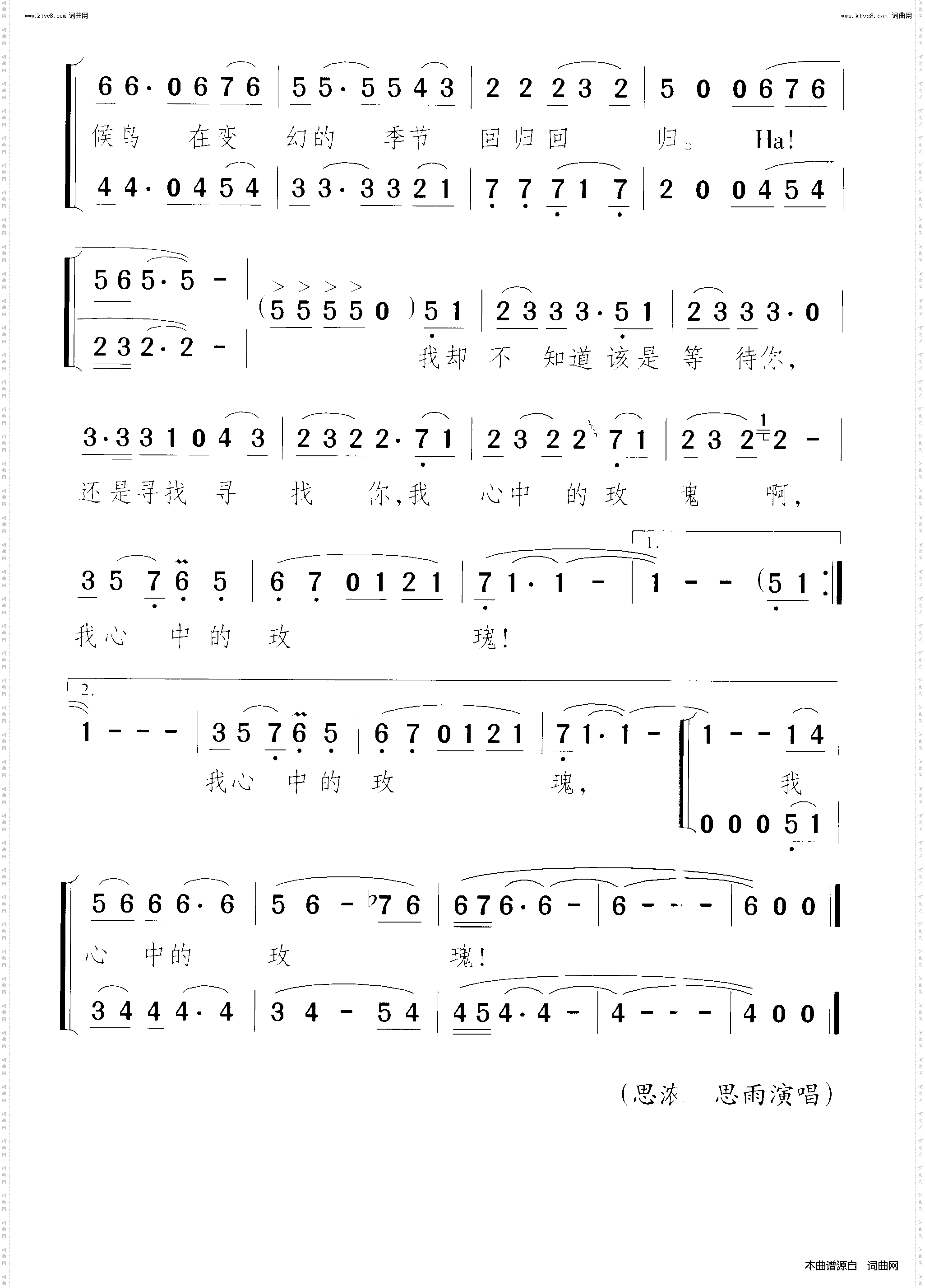 寻找心中的玫瑰