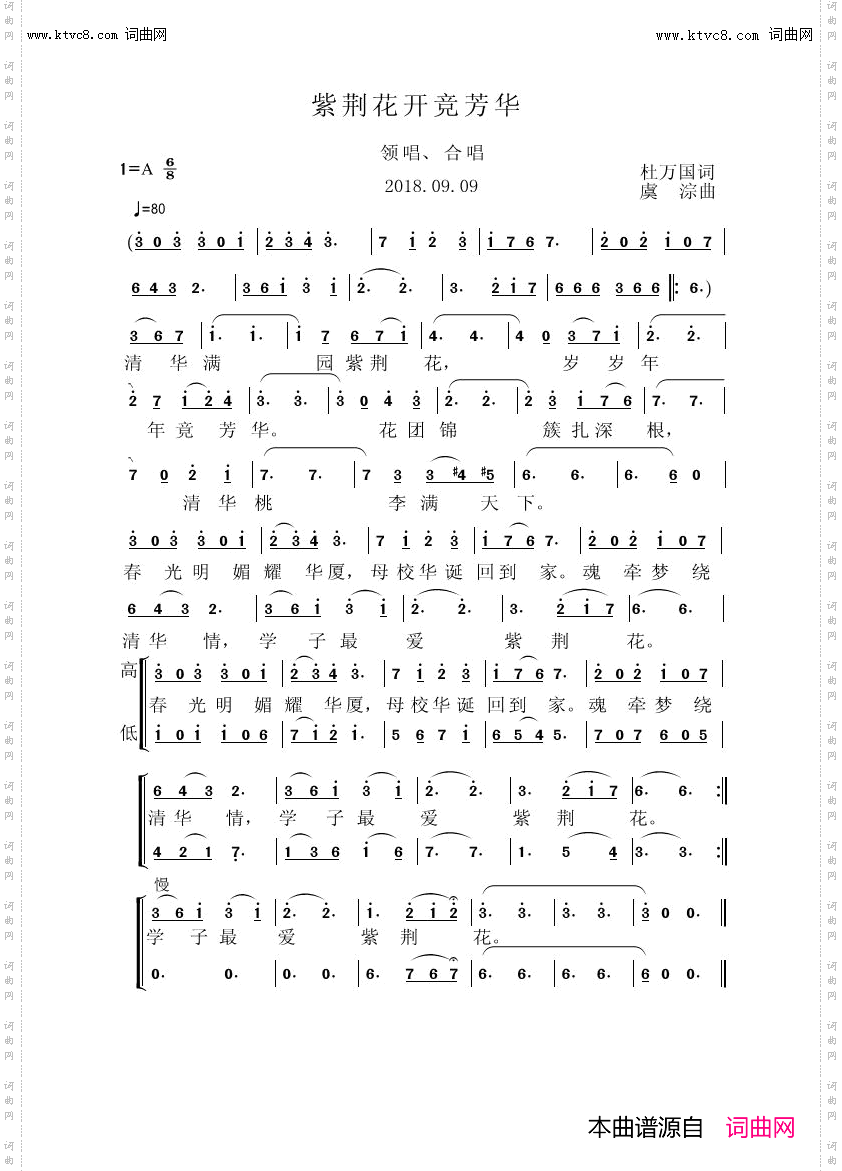 紫荆花开竞芳华