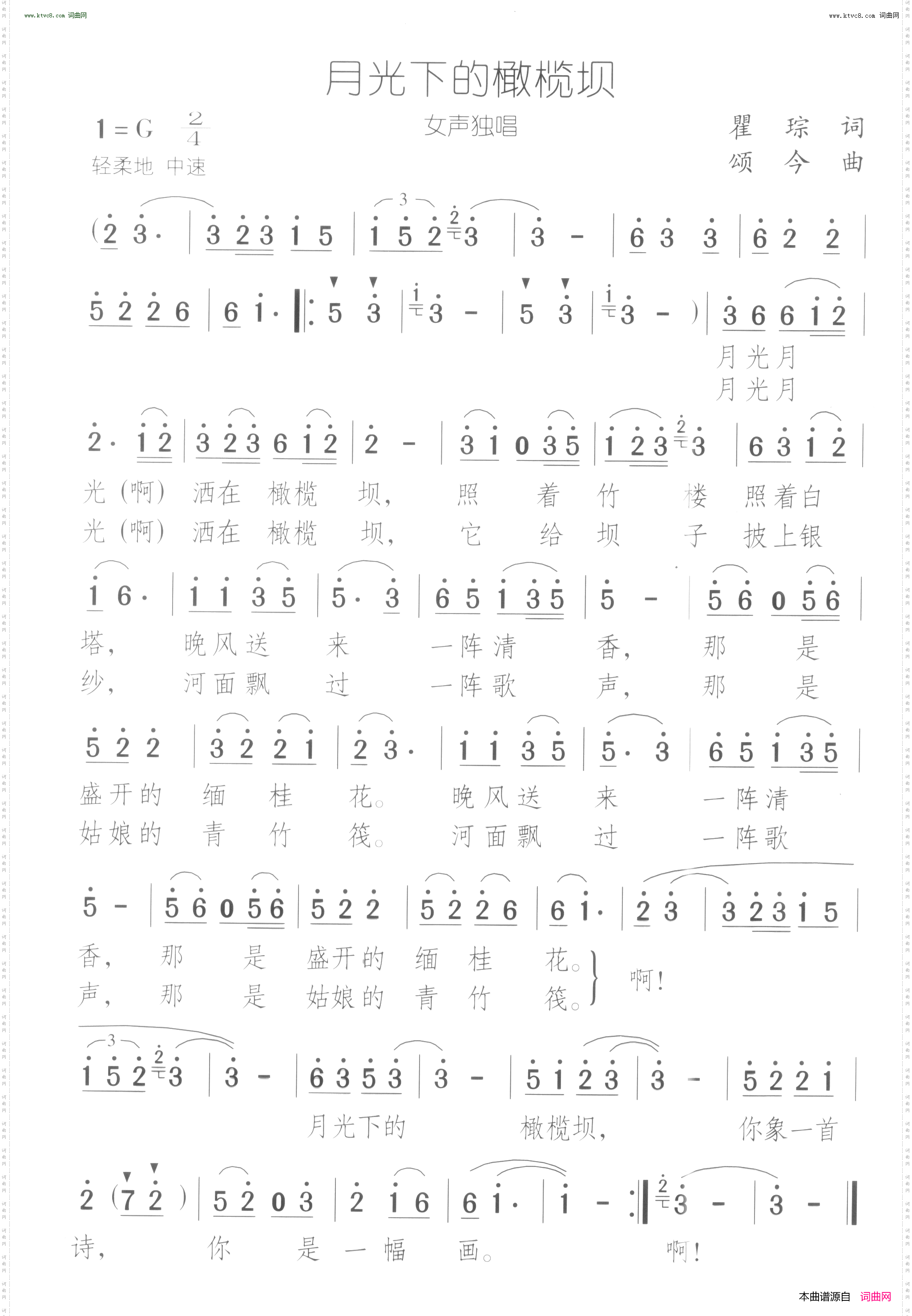 月光下的橄榄坝