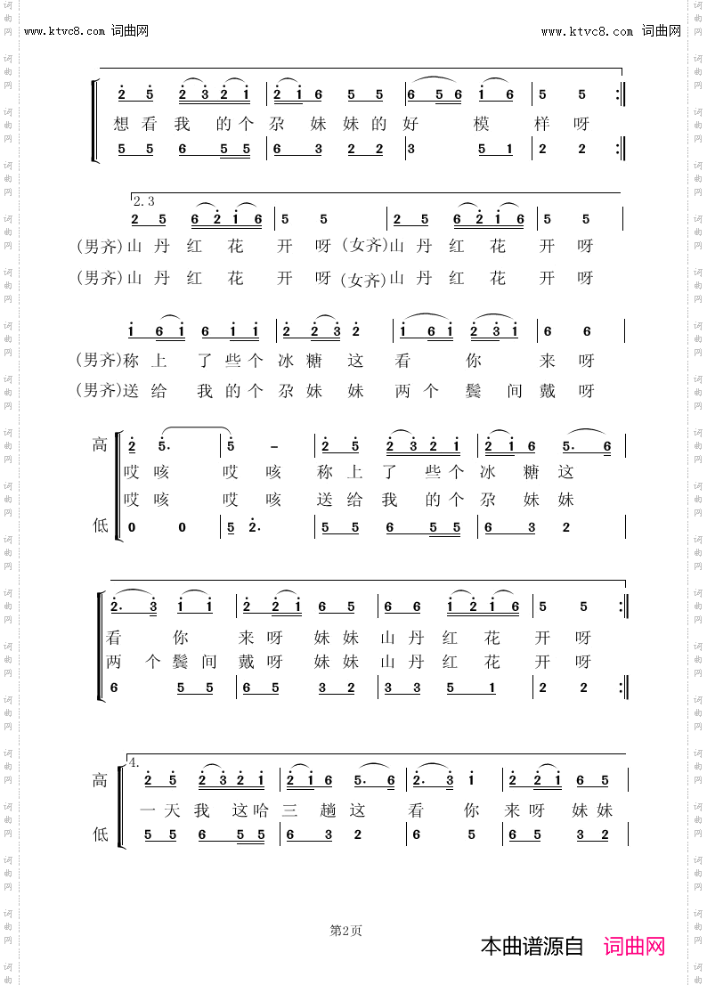 妹妹的山丹花儿开