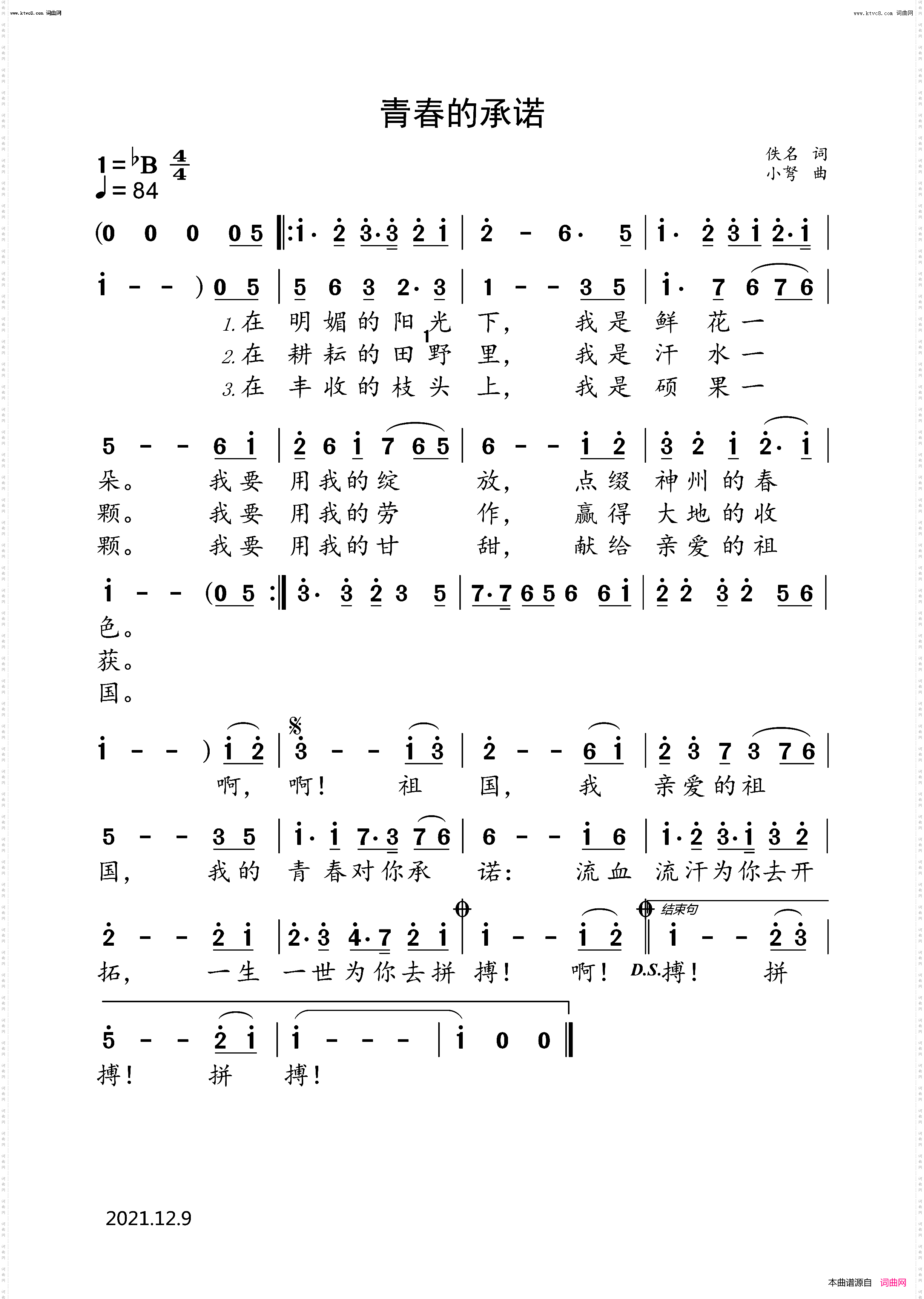 青春的承诺