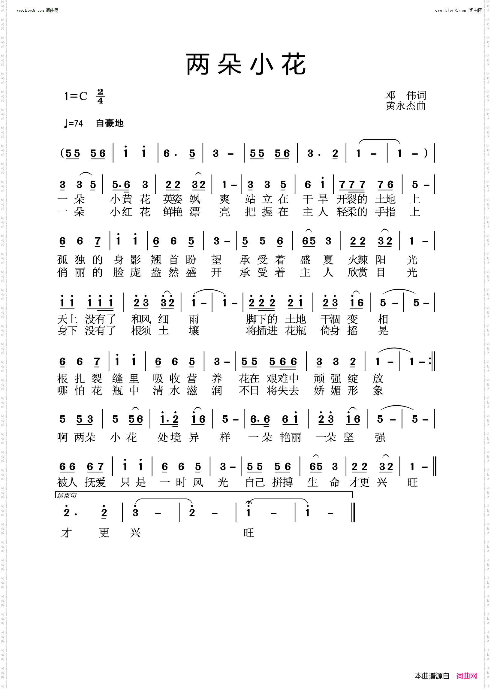 两朵小花