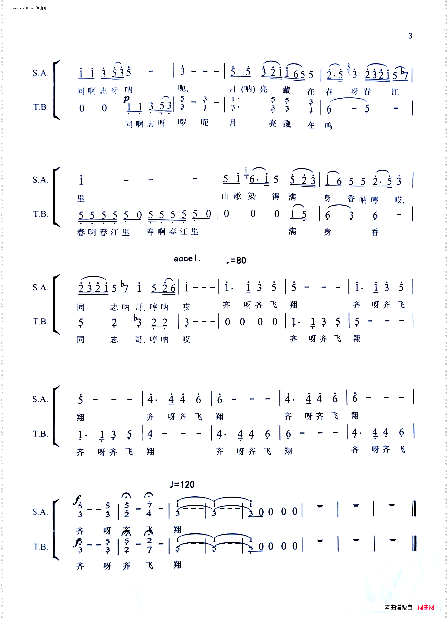 天上星星伴月亮