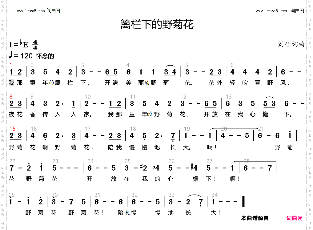 篱栏下的野菊花