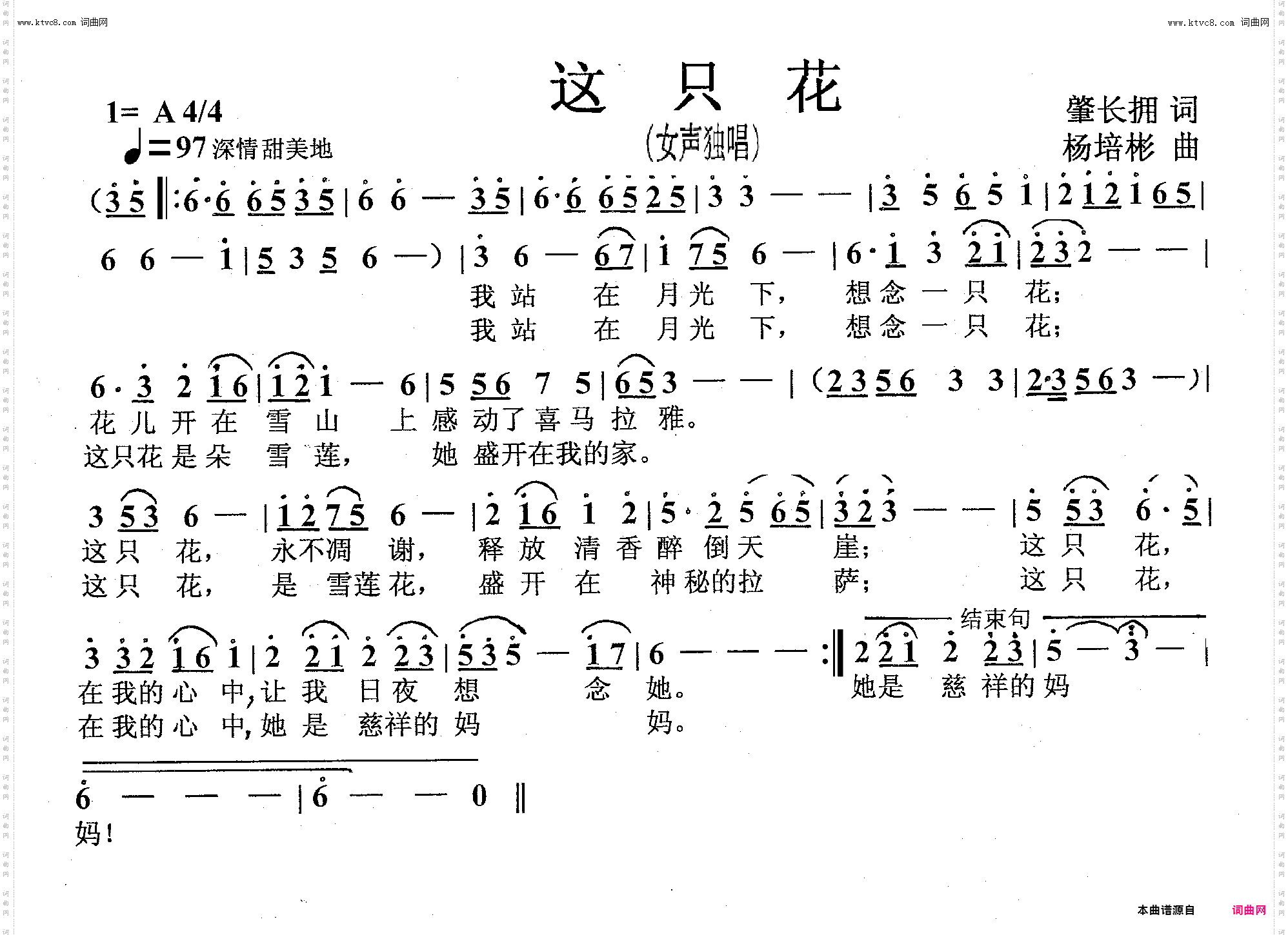 这只花_女声独唱