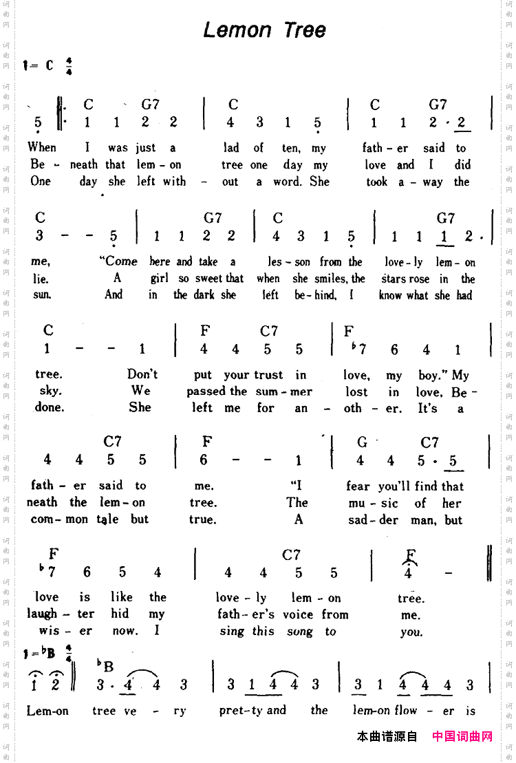 【美】LemonTree柠檬树、带和弦