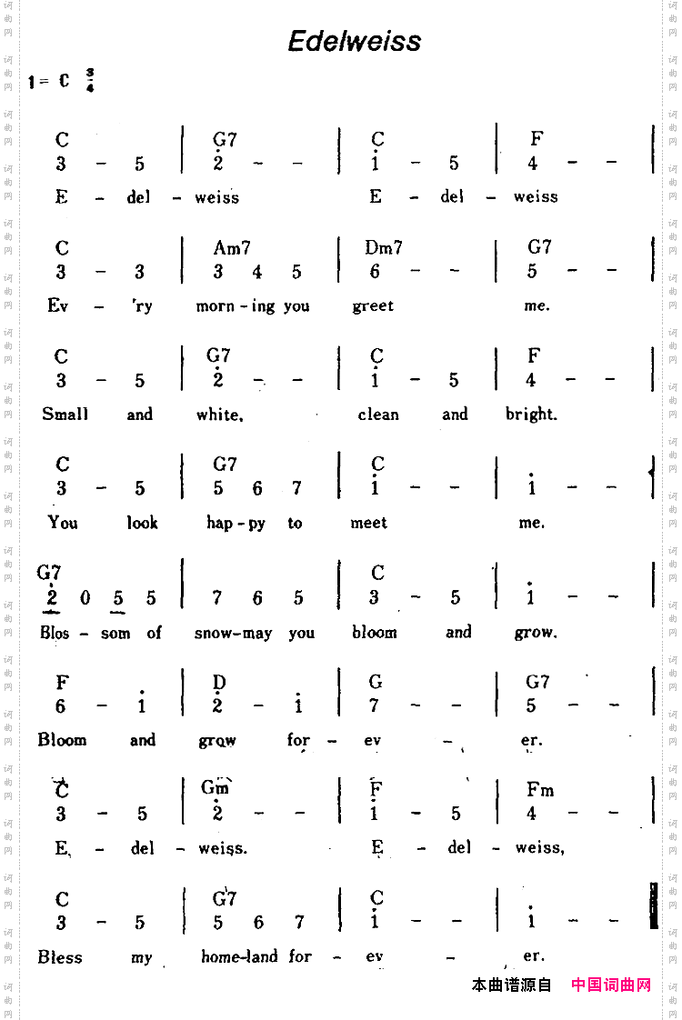 【美】Edelweiss雪绒花、带和弦