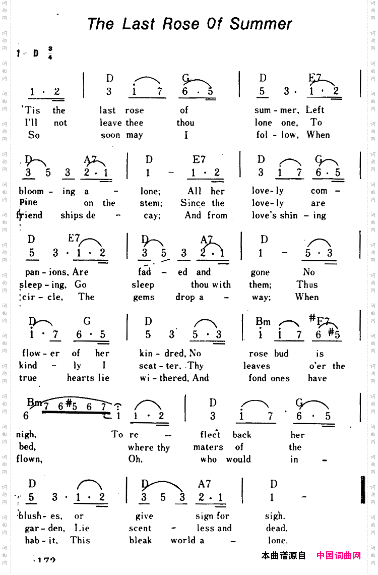 【美】TheLastRoesOfSummer夏日里最后一支玫瑰、带和弦