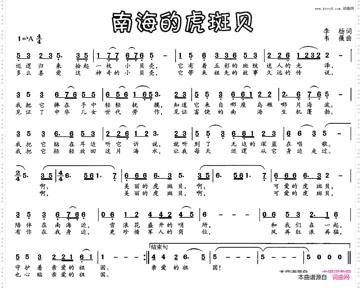 南海的虎斑贝