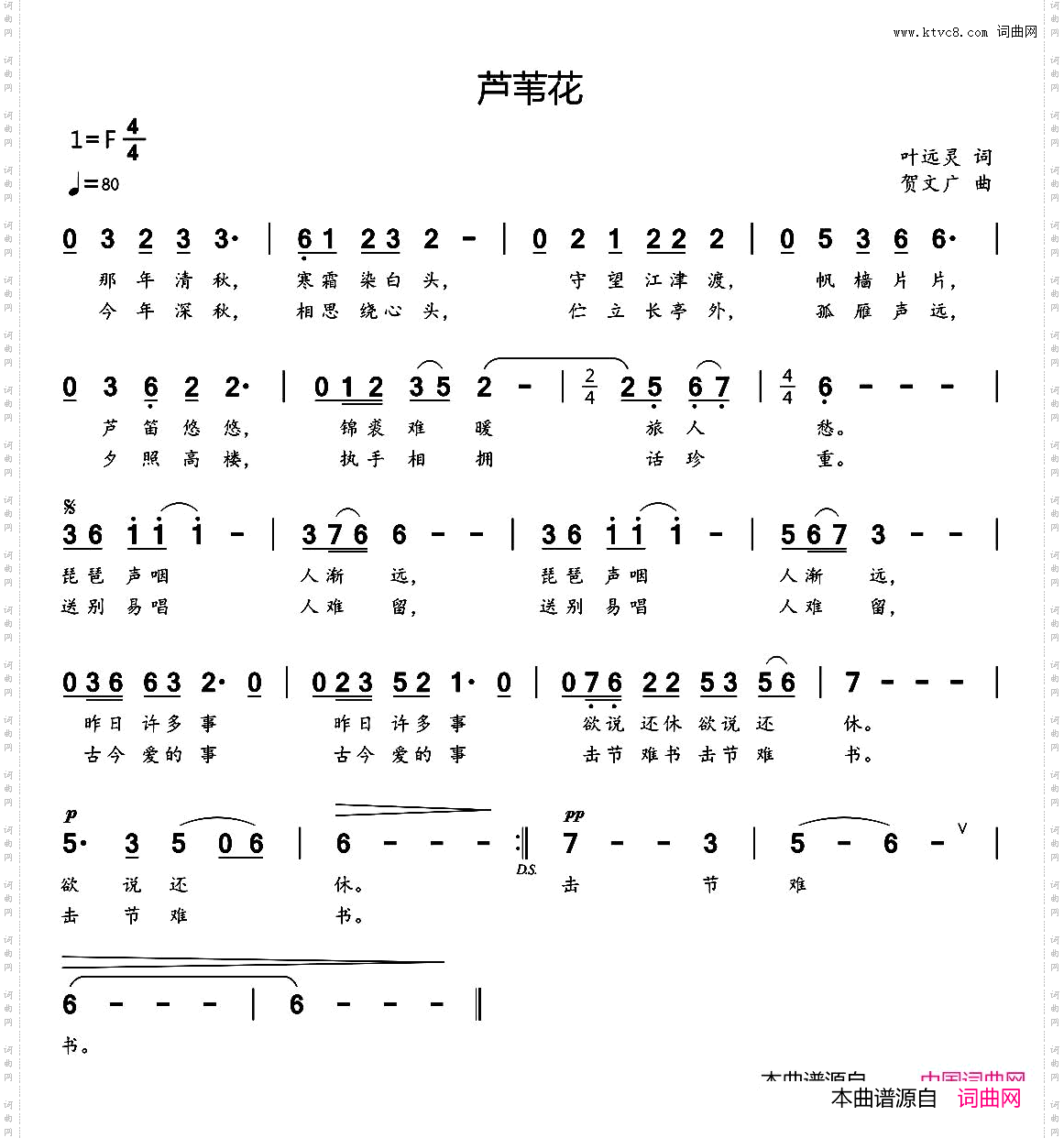 芦苇花