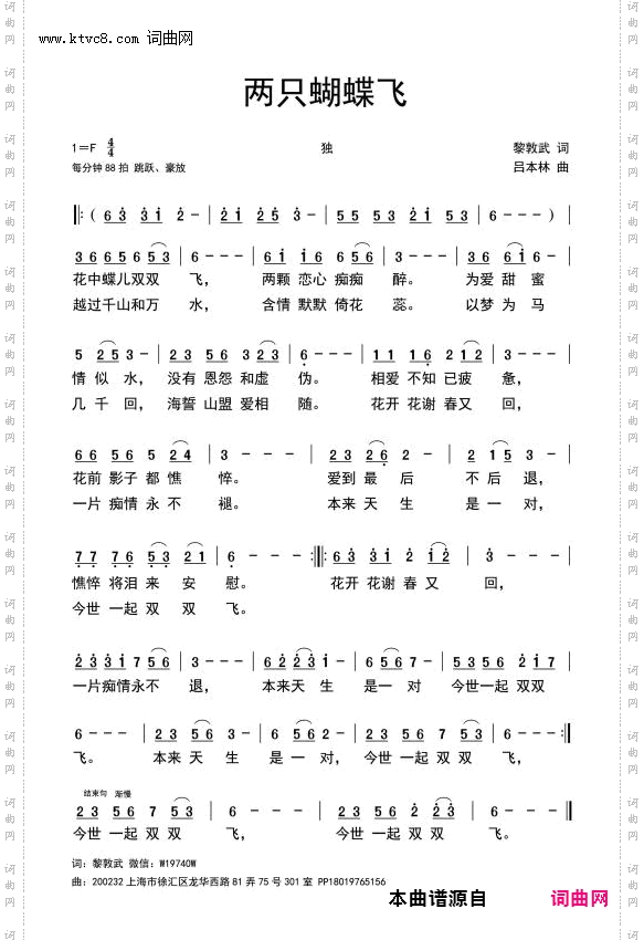 两只蝴蝶飞