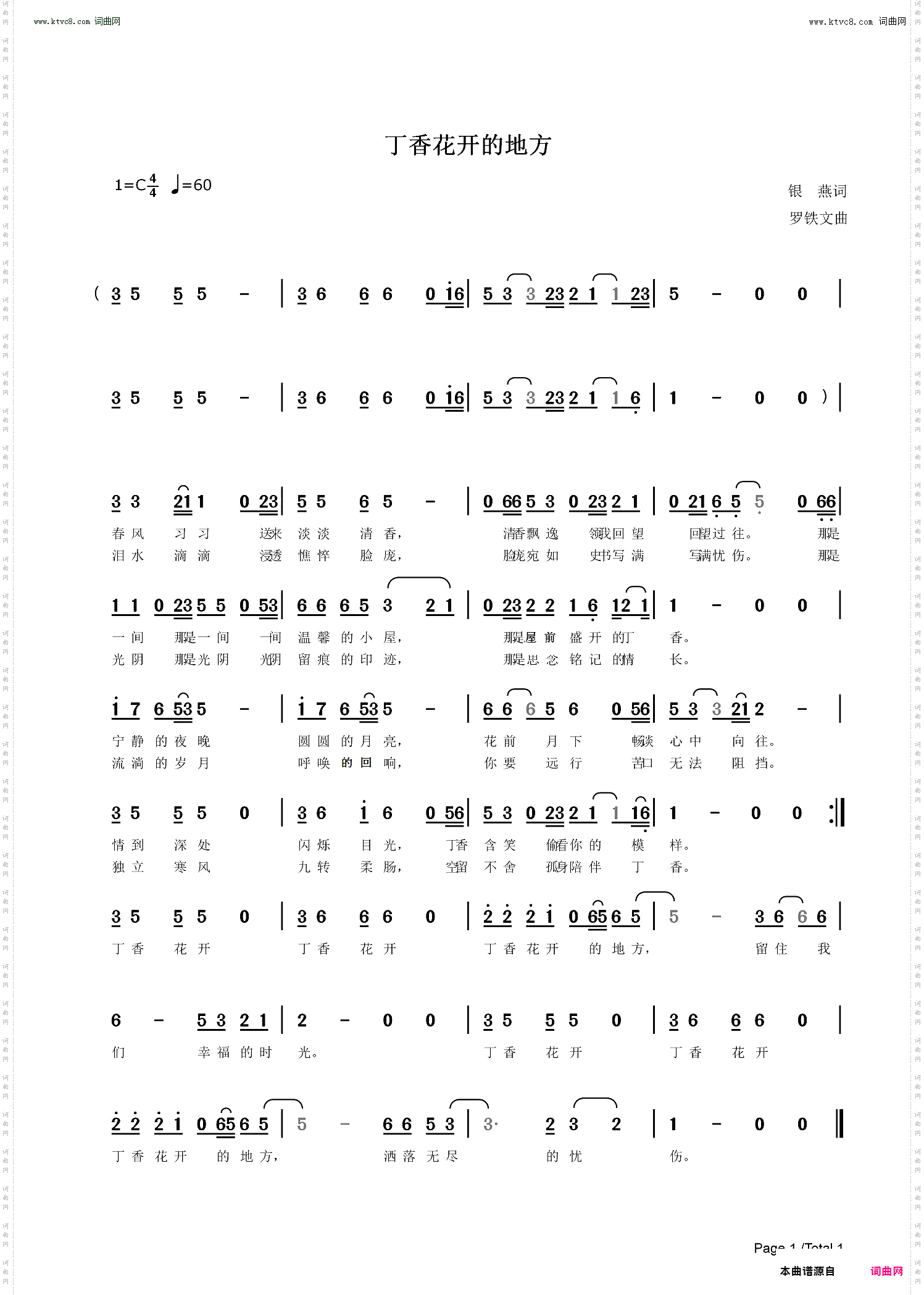 丁香花开的地方
