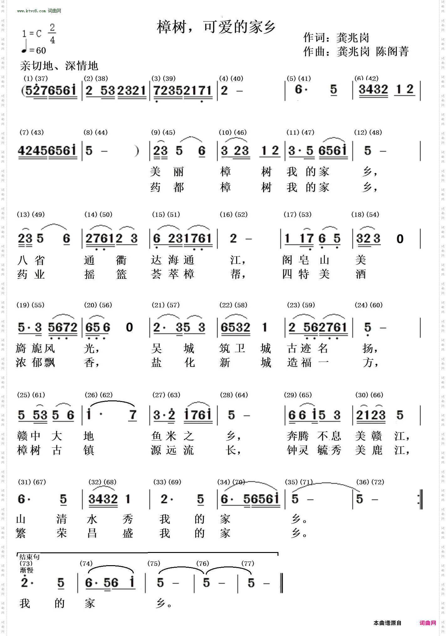 樟树，可爱的家乡