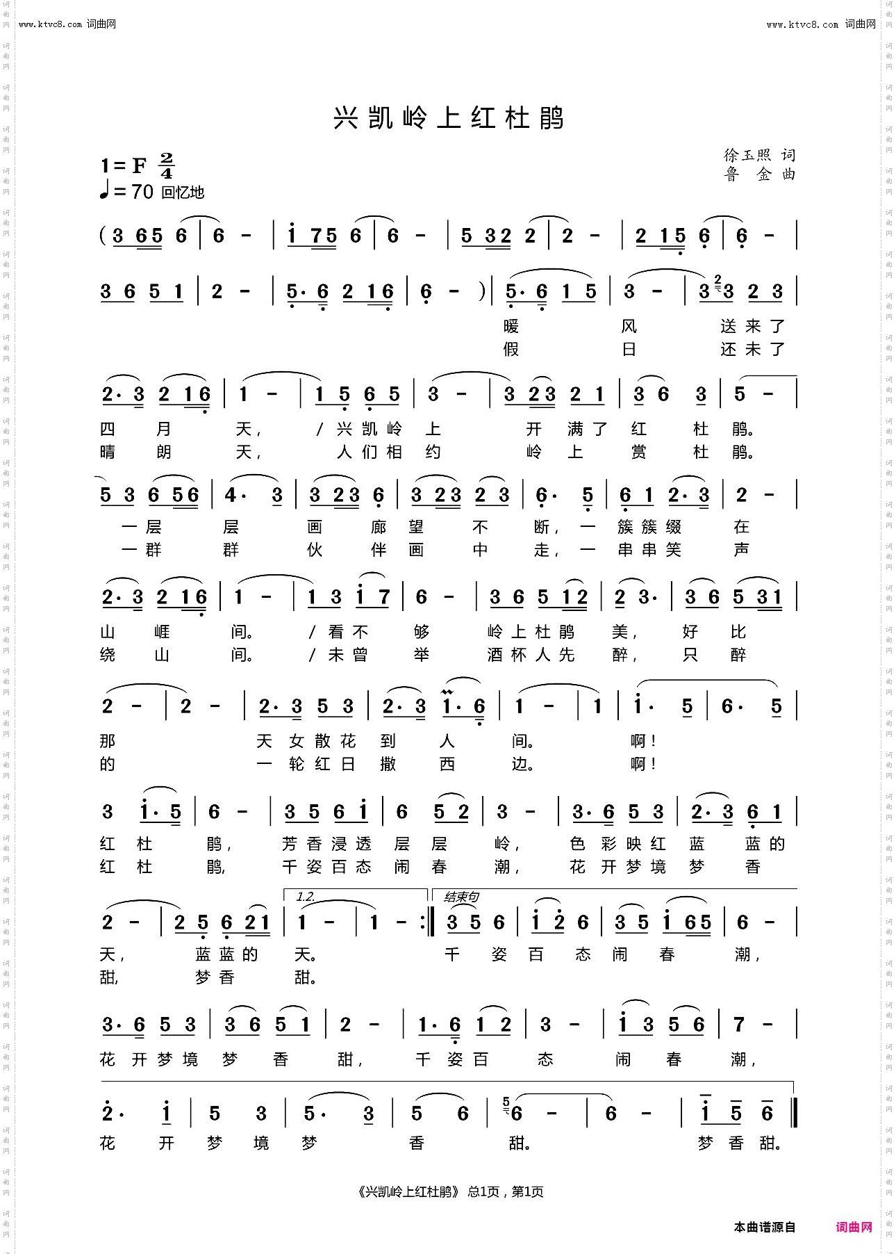 兴凯岭上红杜鹃