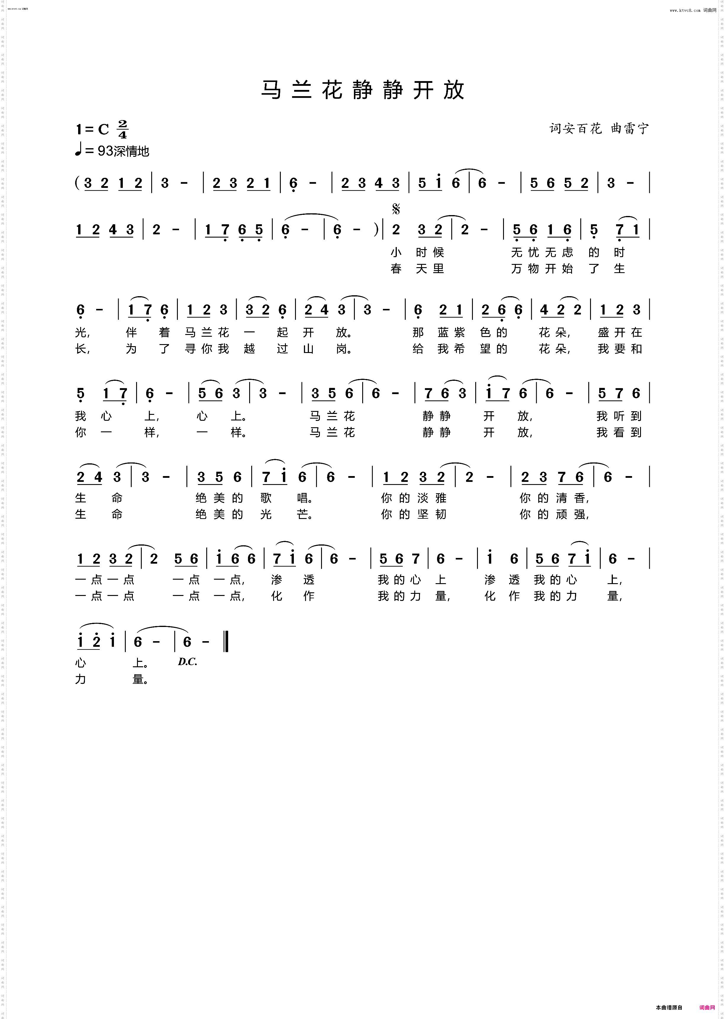 马兰花静静开放