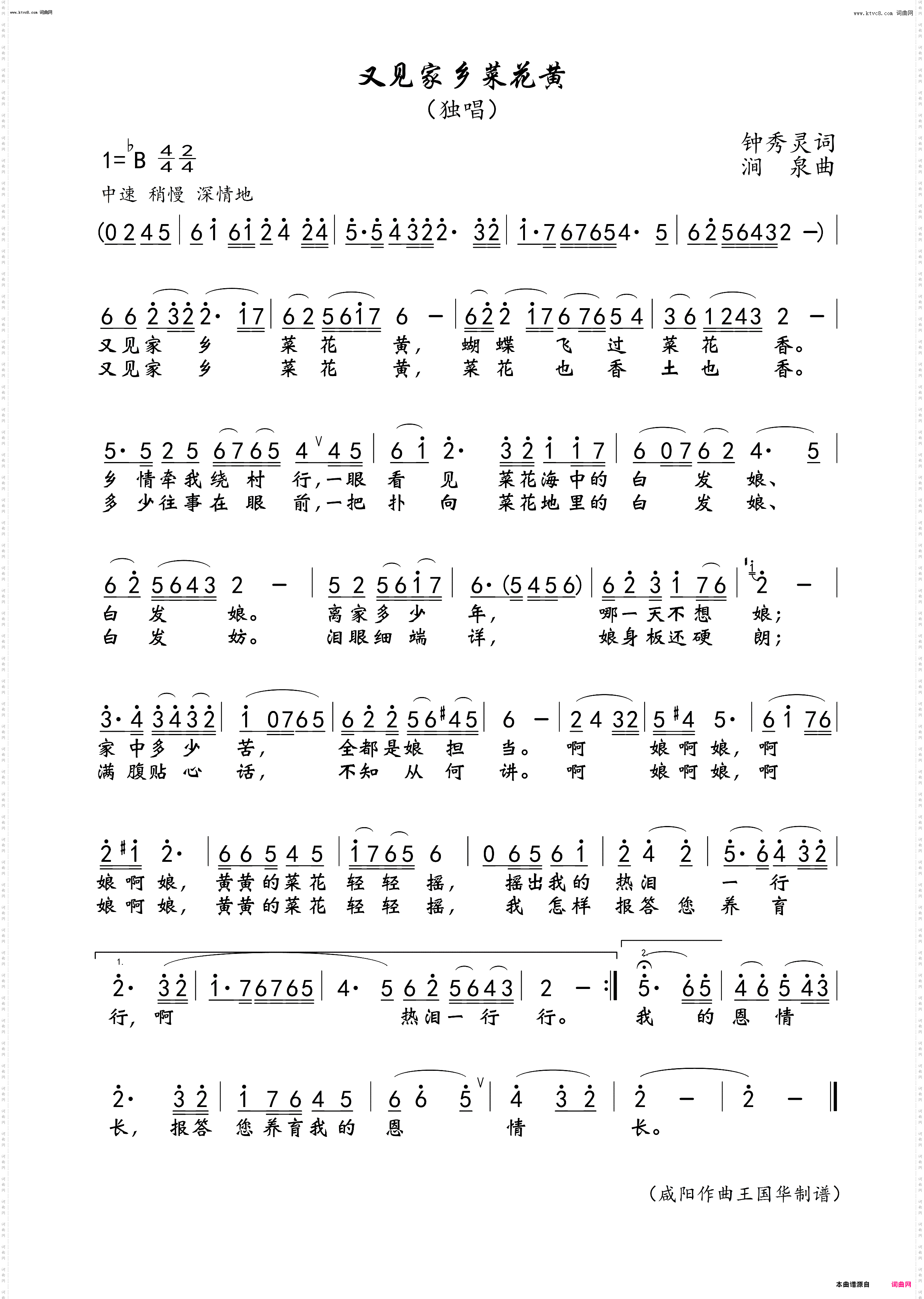 又见家乡菜花黄