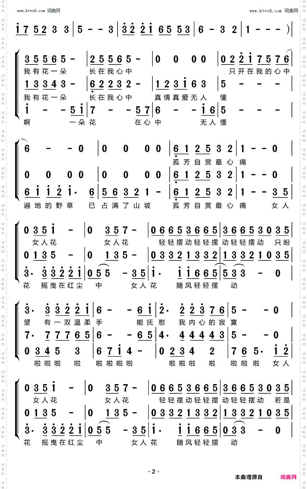 女人花_梦之旅组合