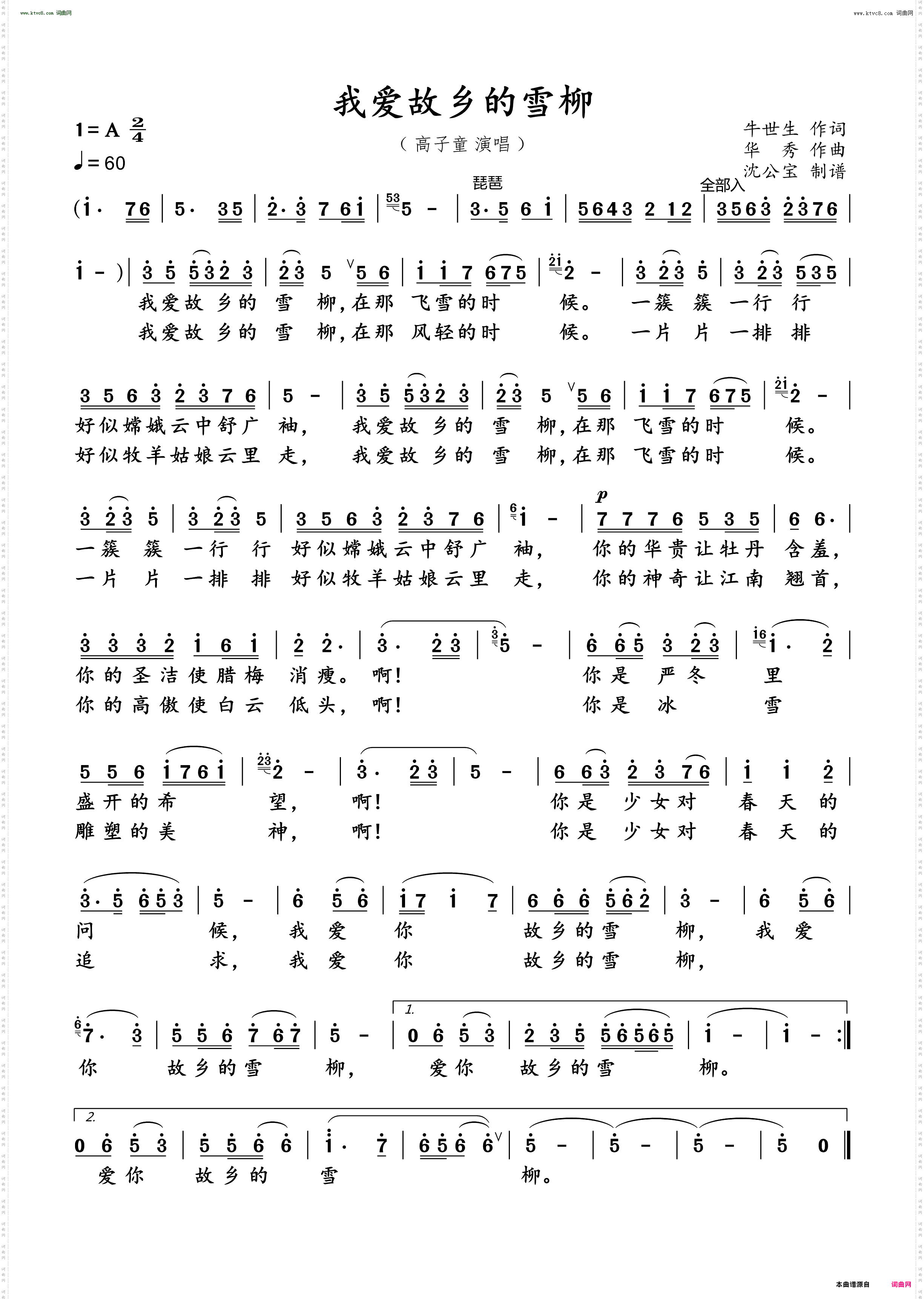 我爱故乡的雪柳