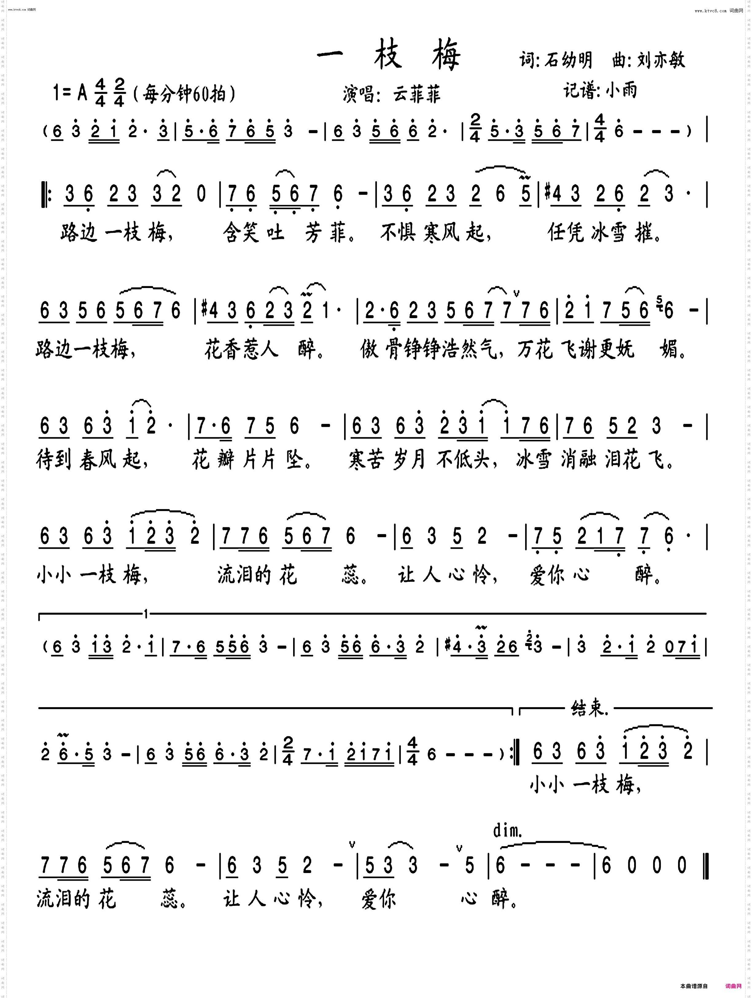 一枝梅_云菲菲 演唱版