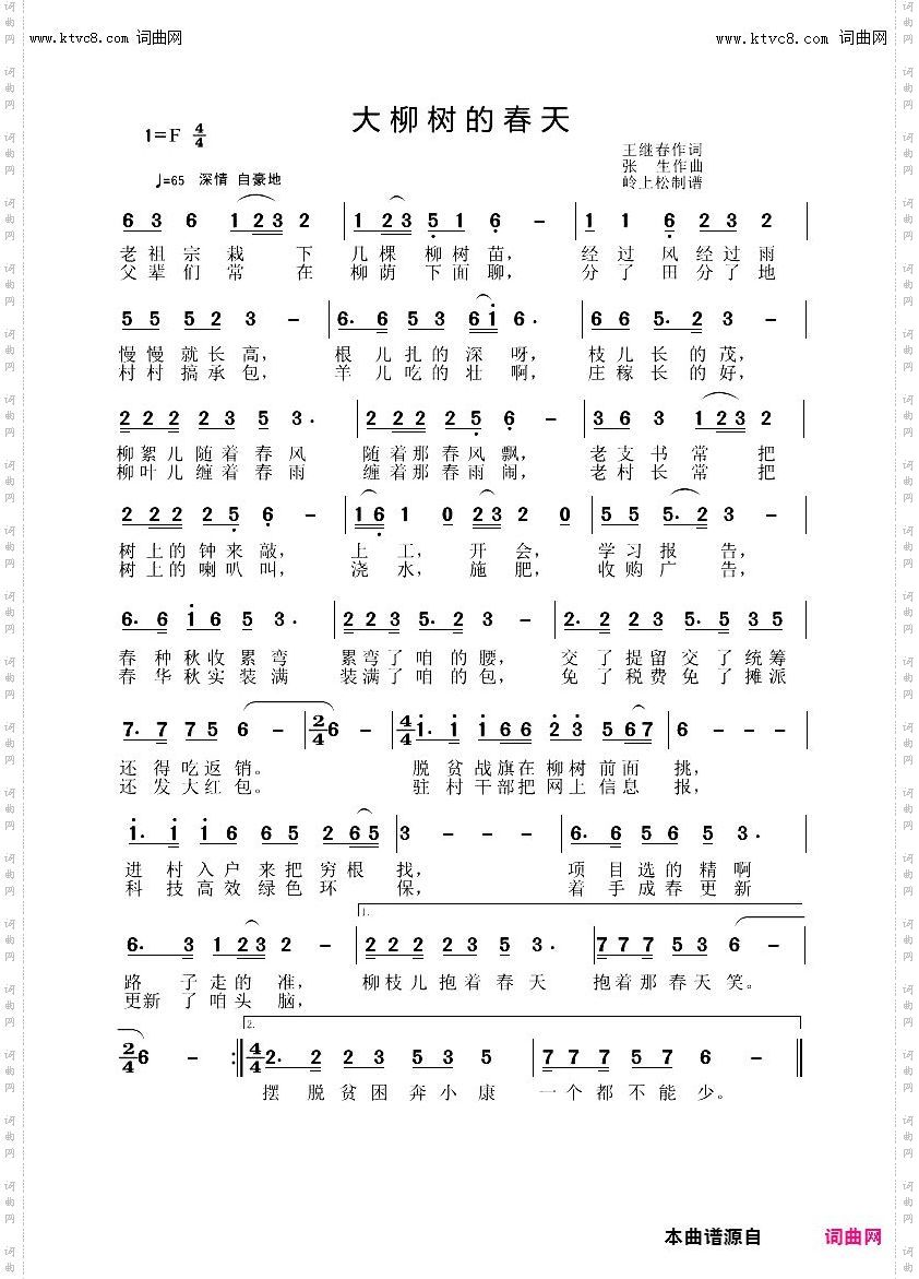 大柳树的春天