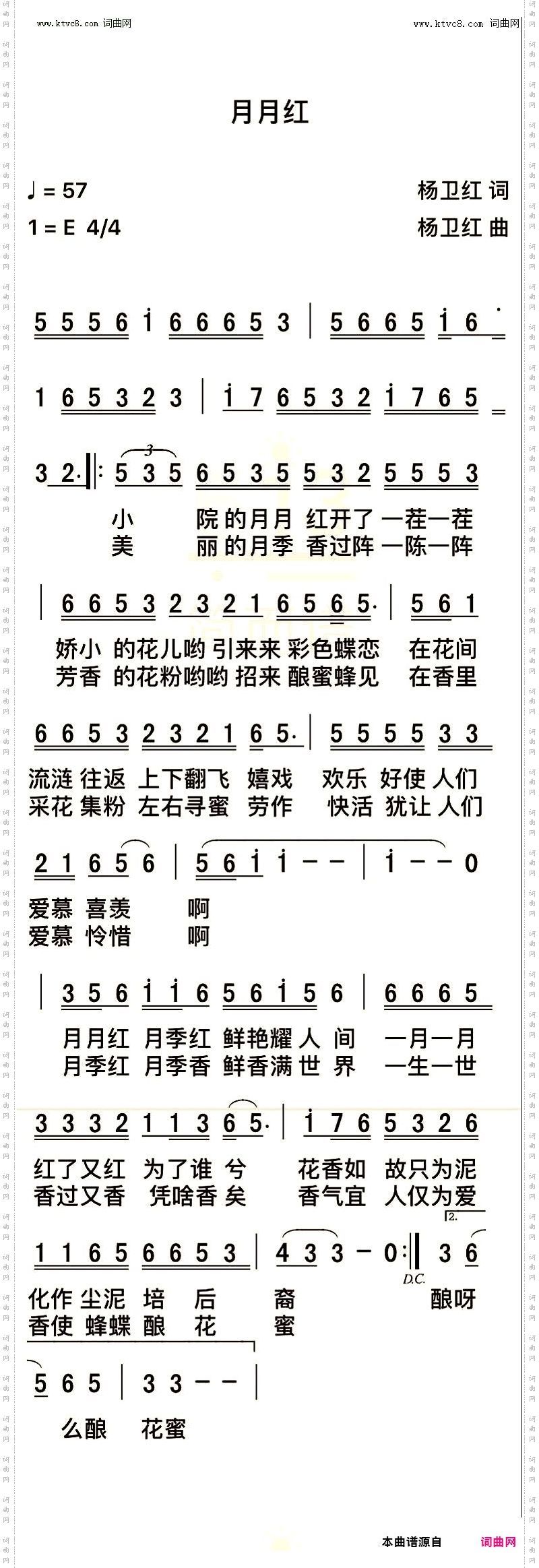 月月红