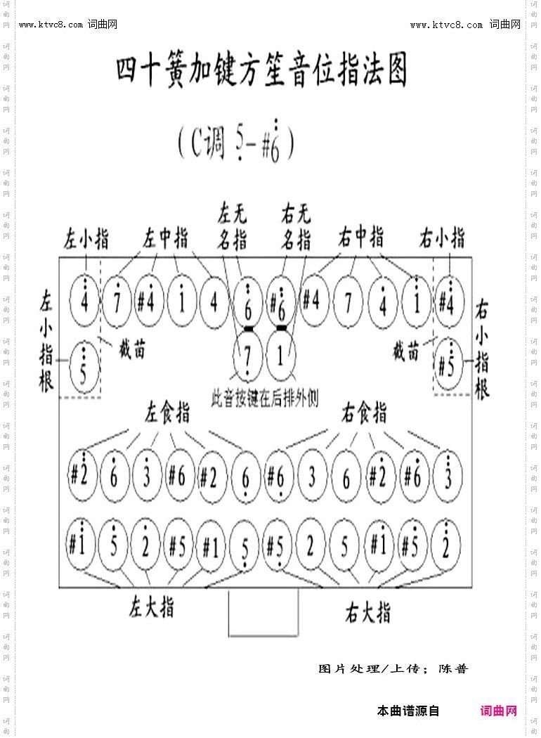其他曲谱_笙的音位指法图
