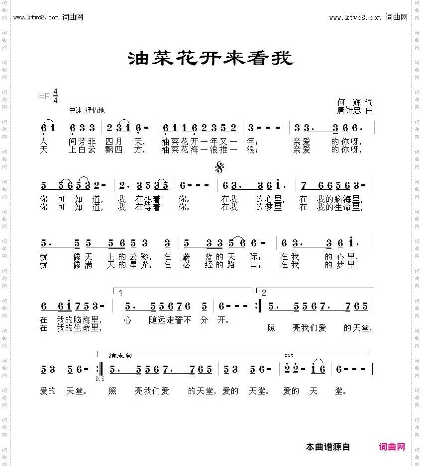 油菜花开来看我