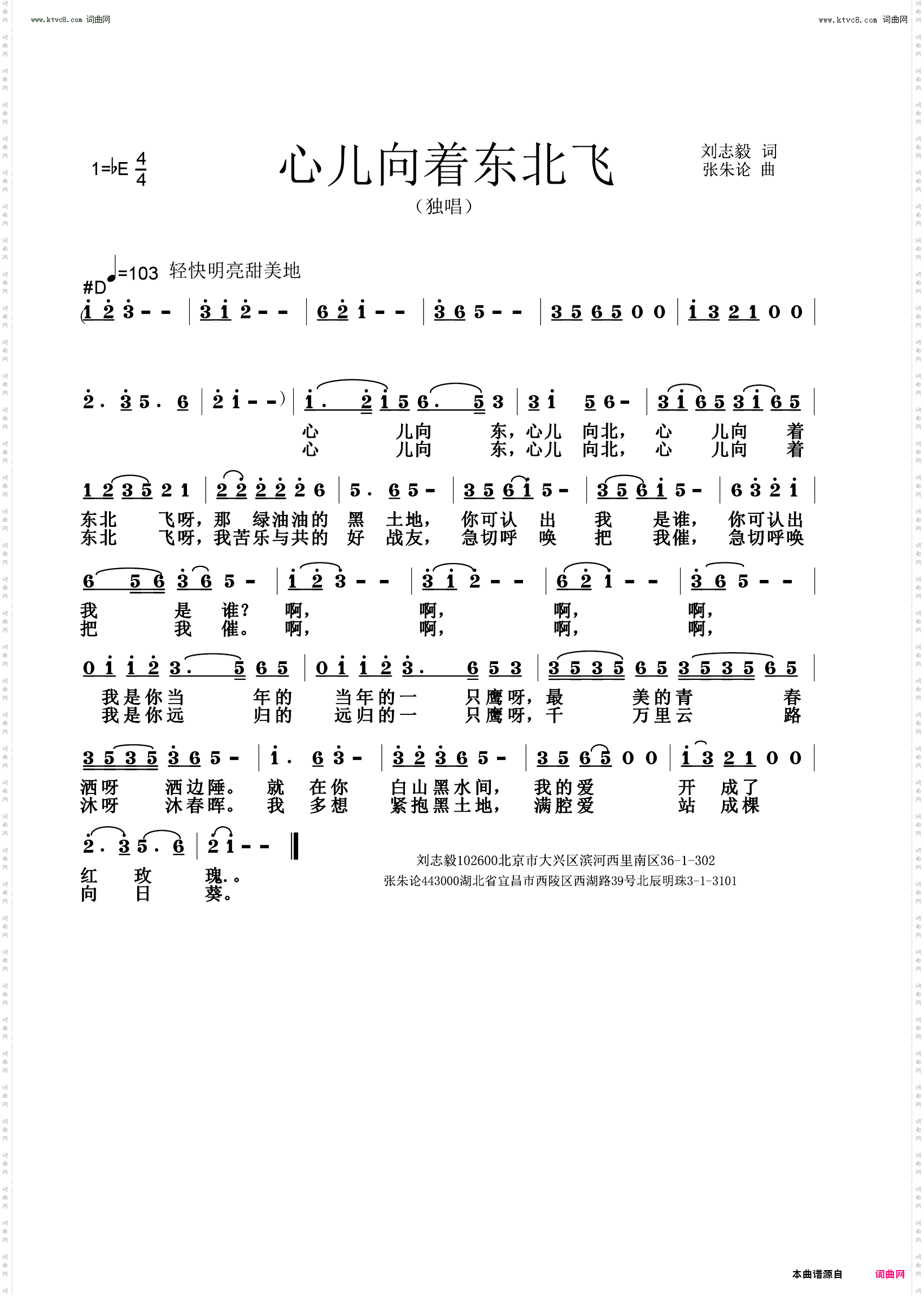 心儿向着东北飞