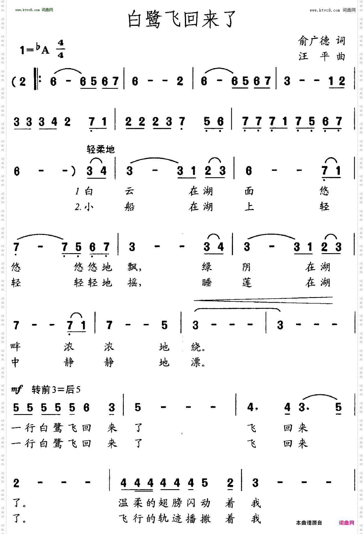 白鹭飞回来了