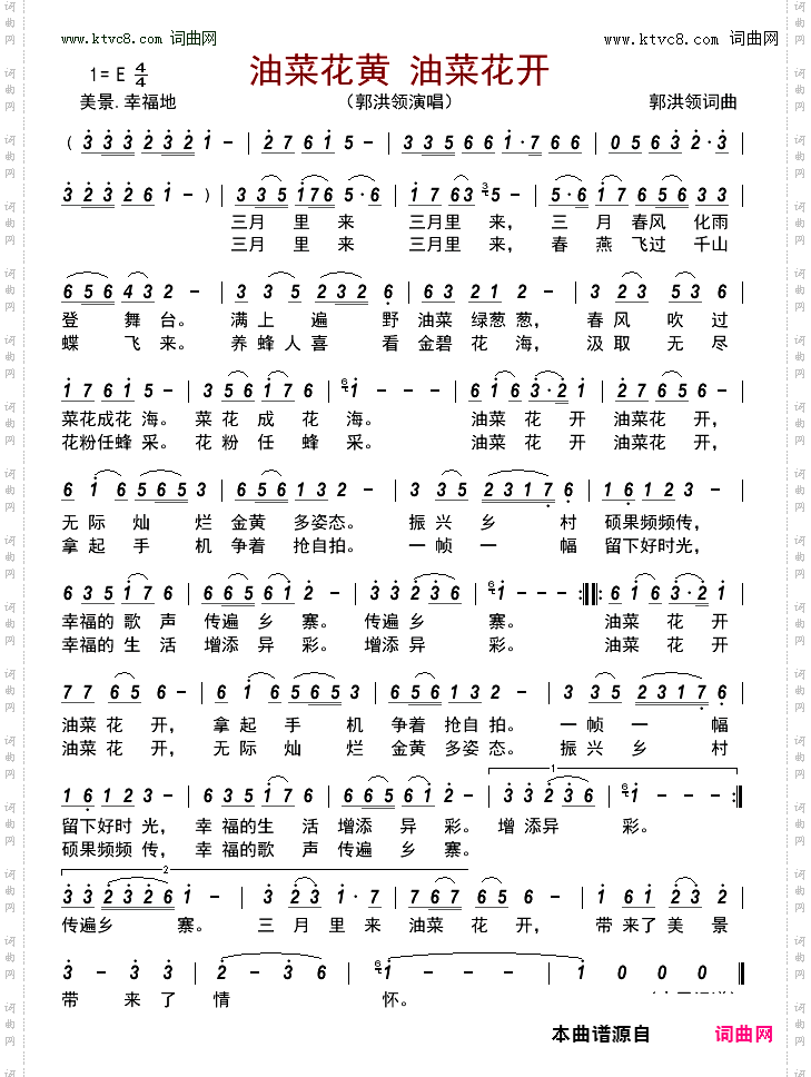 油菜花黄 油菜花开