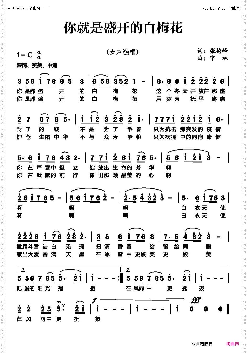 你就是盛开的白梅花