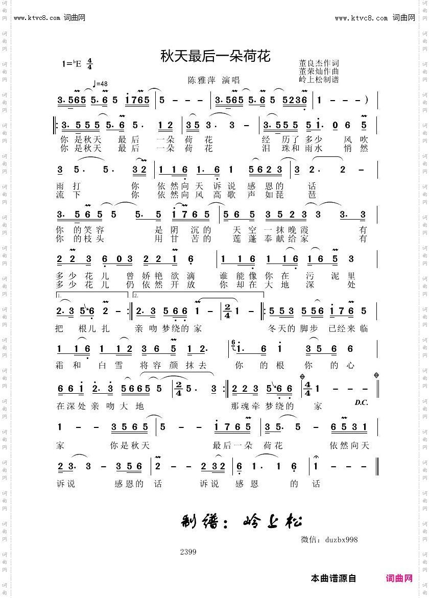 秋天最后一朵荷花