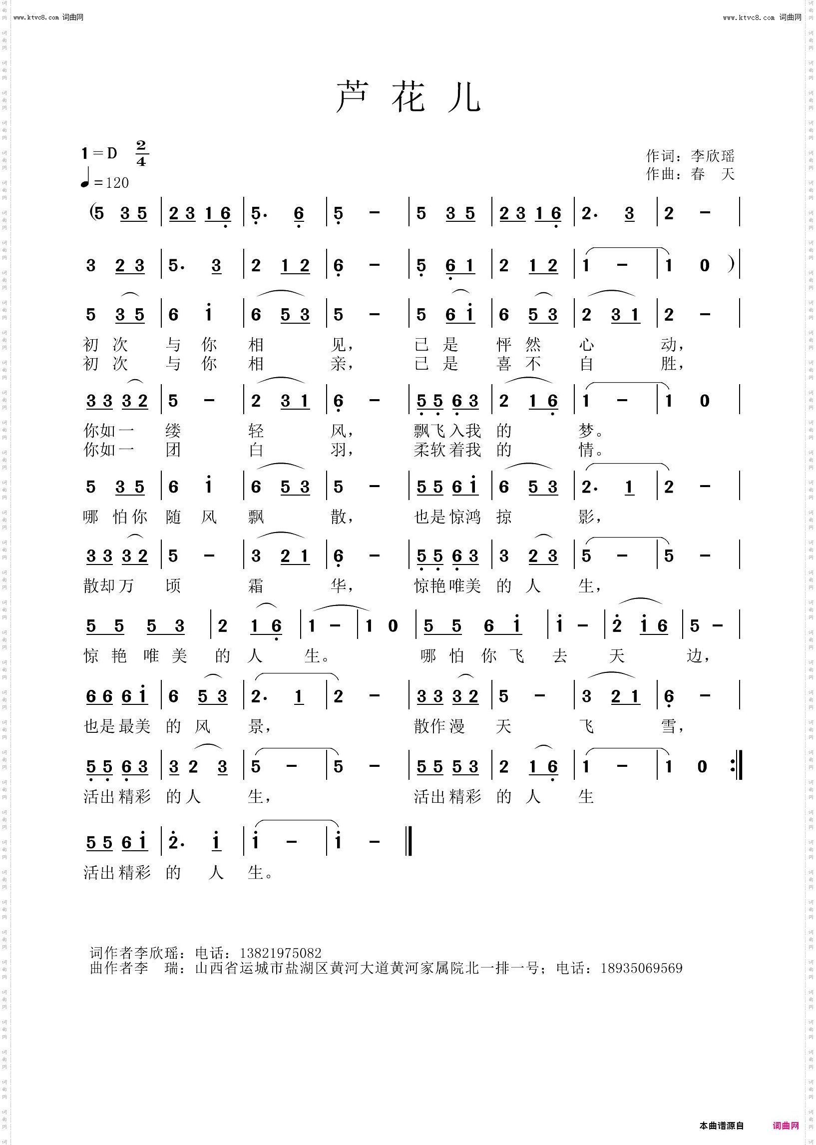 芦花儿