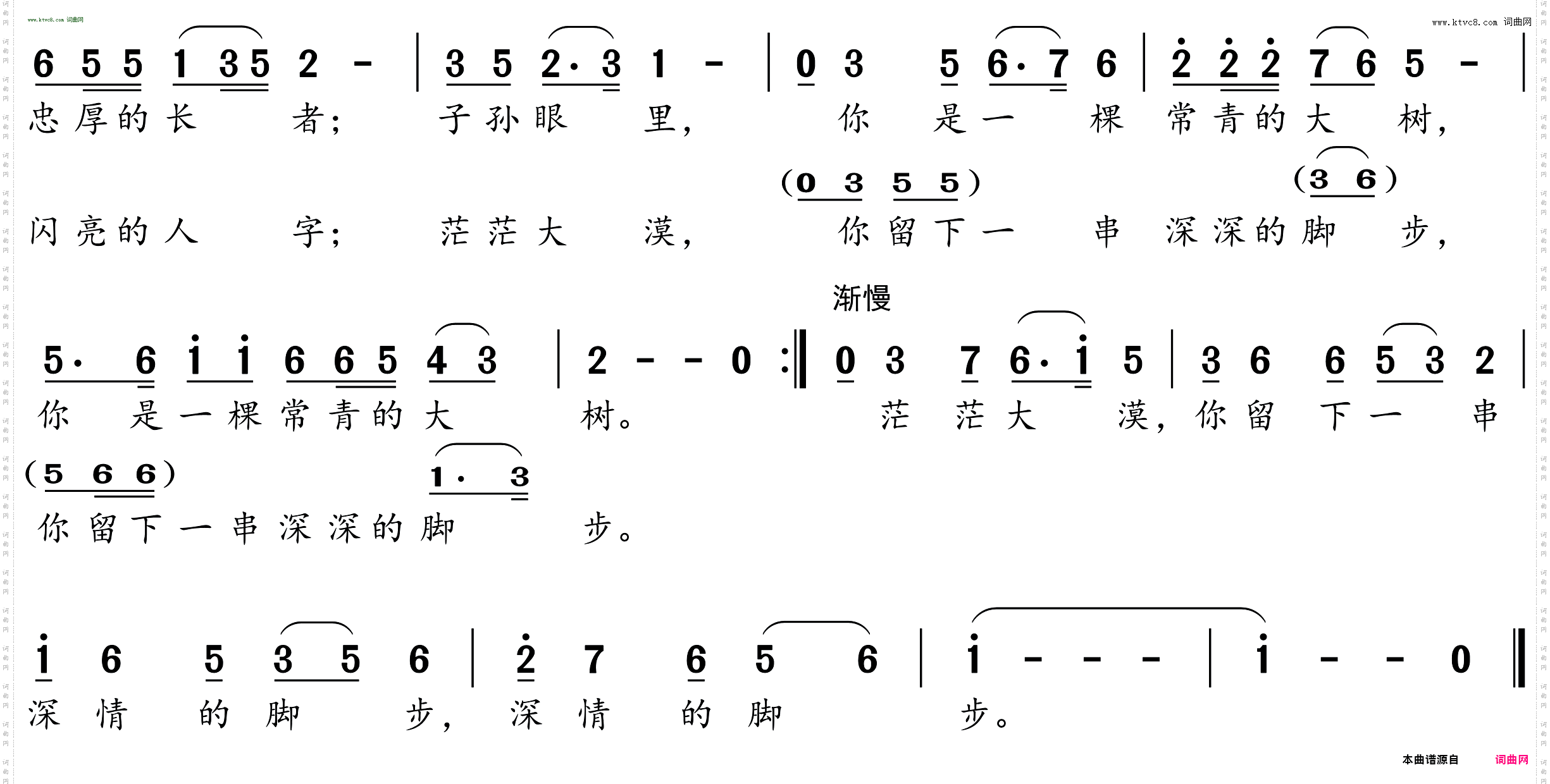 大漠治沙人