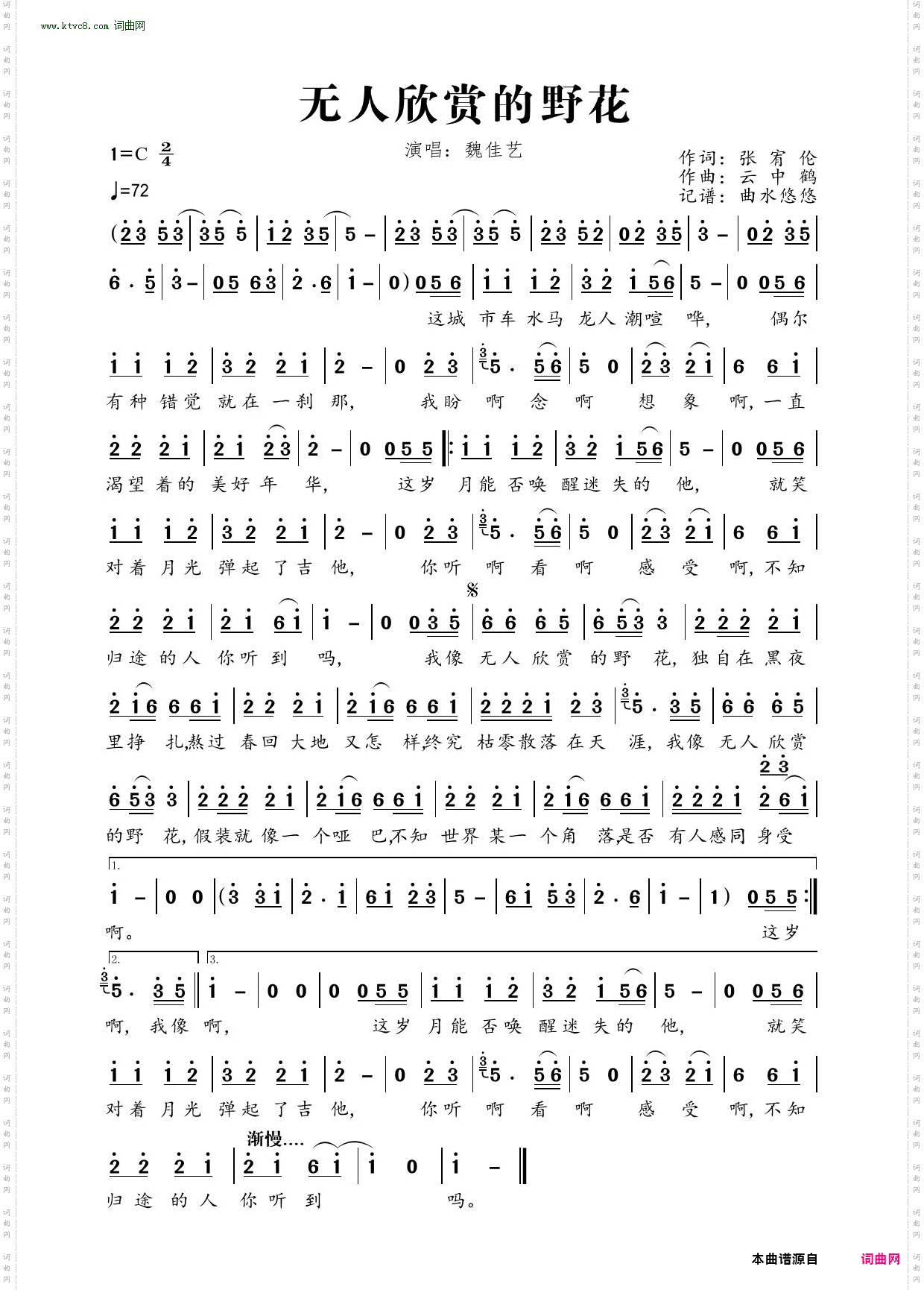 无人欣赏的野花