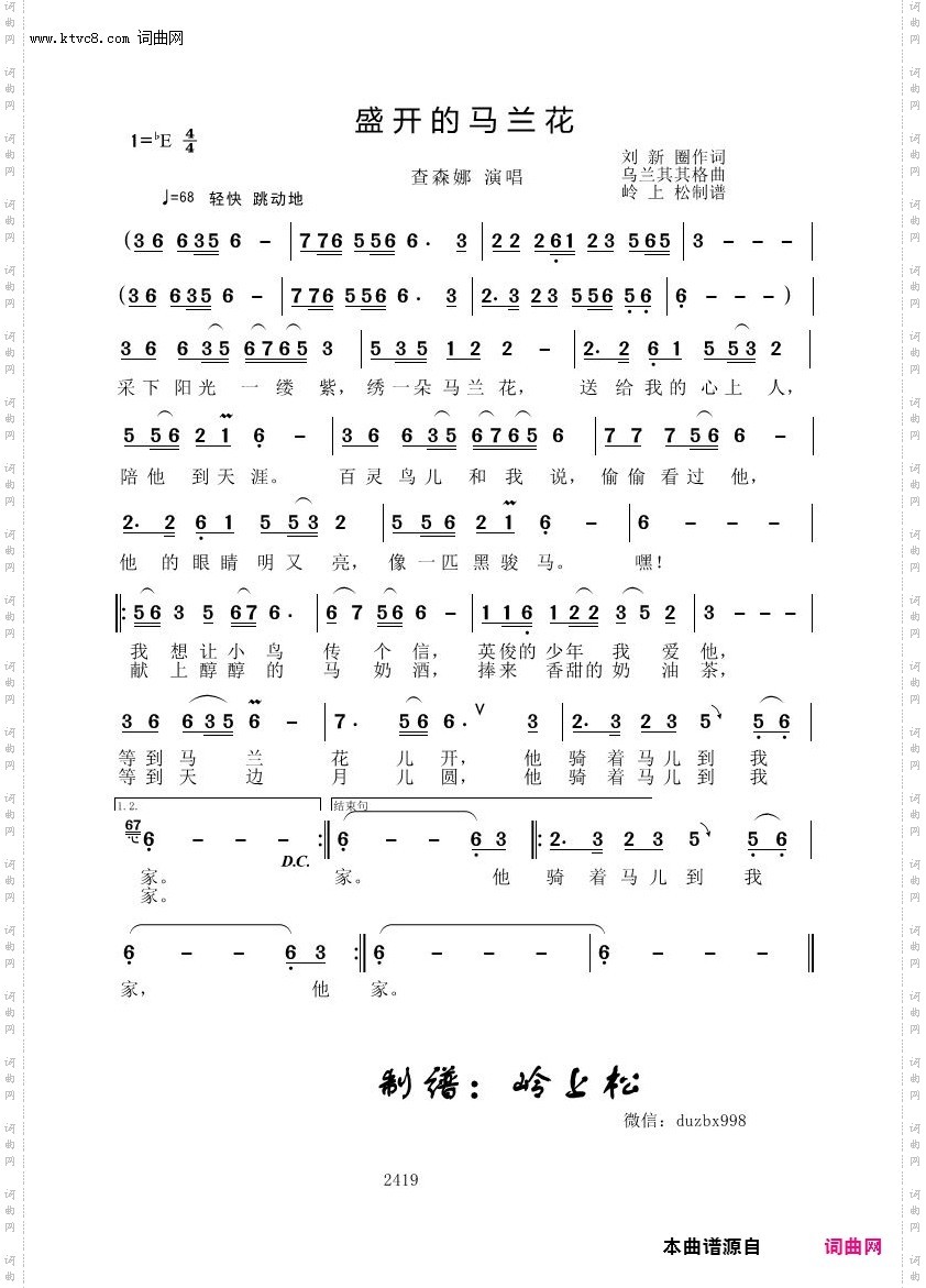 盛开的马兰花