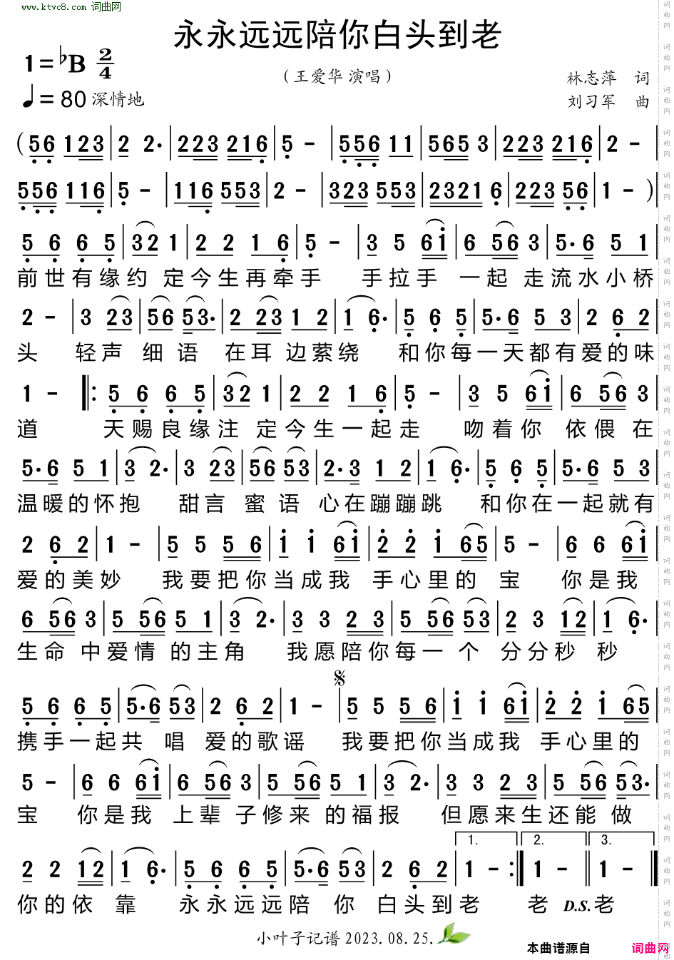 永永远远陪你白头到老