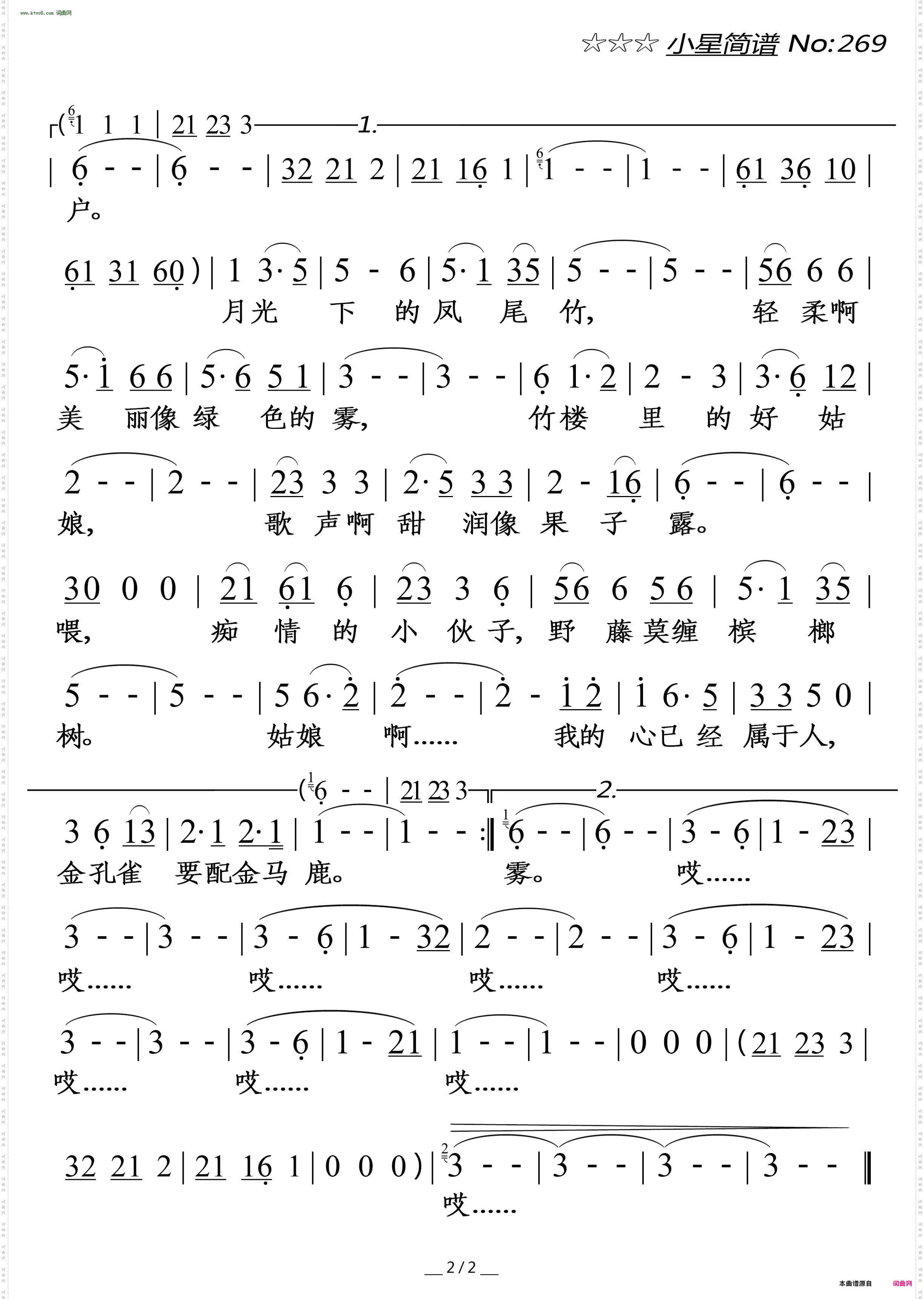 月光下的凤尾竹