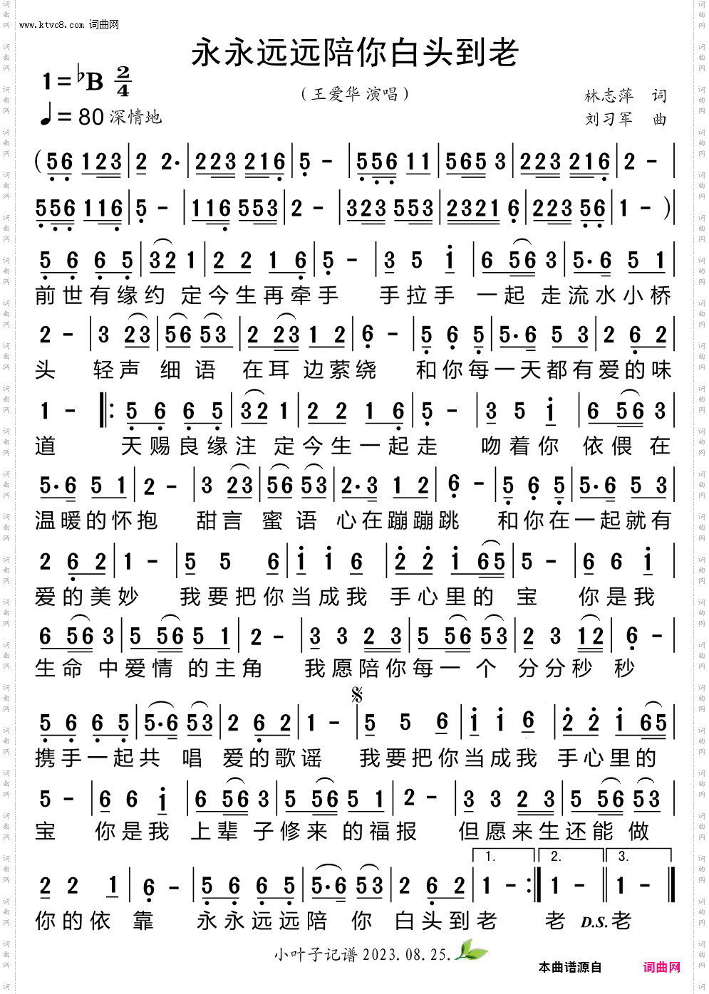 永永远远陪你白头到老降B调伴奏