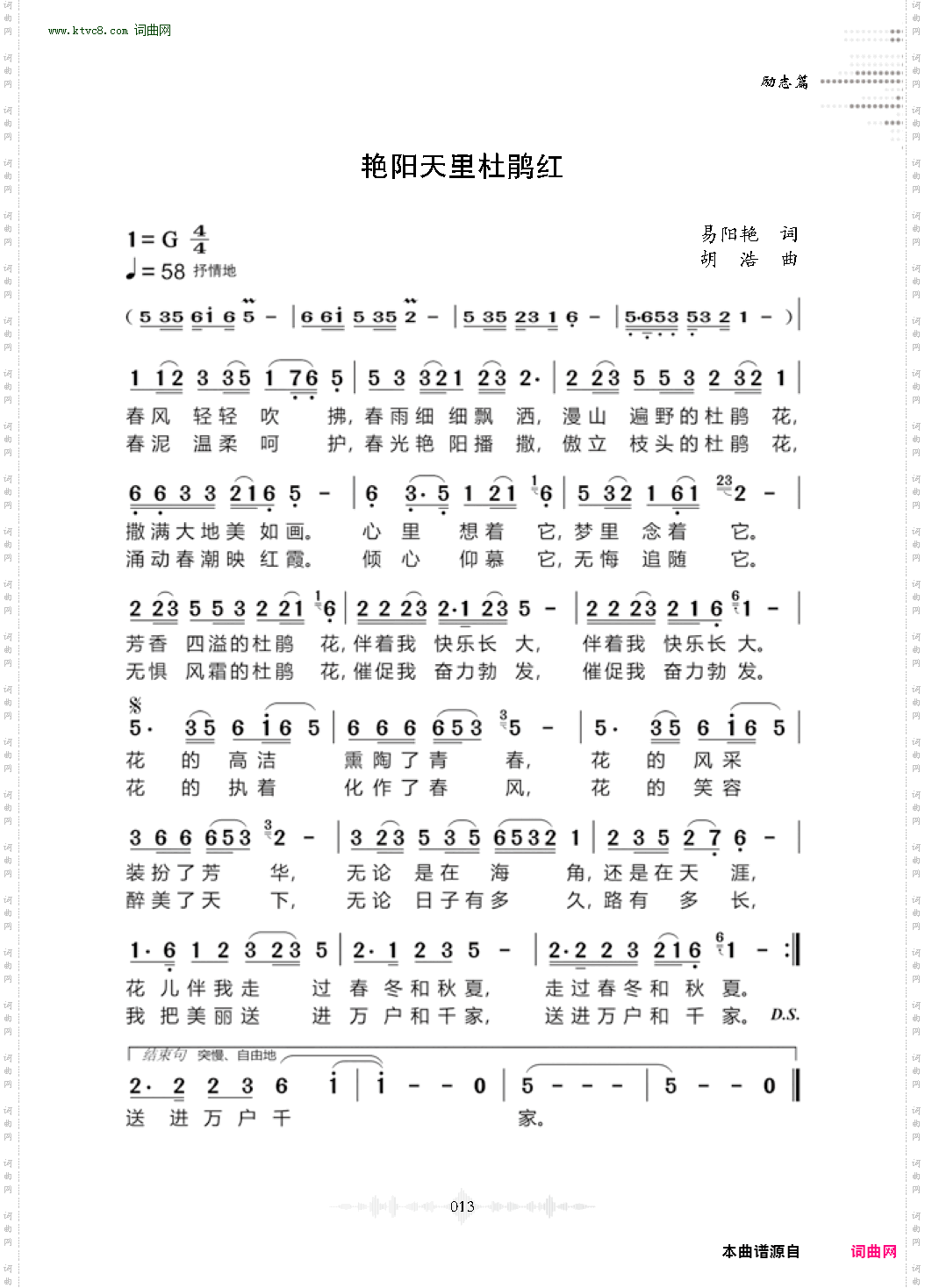 艳阳天里杜鹃红