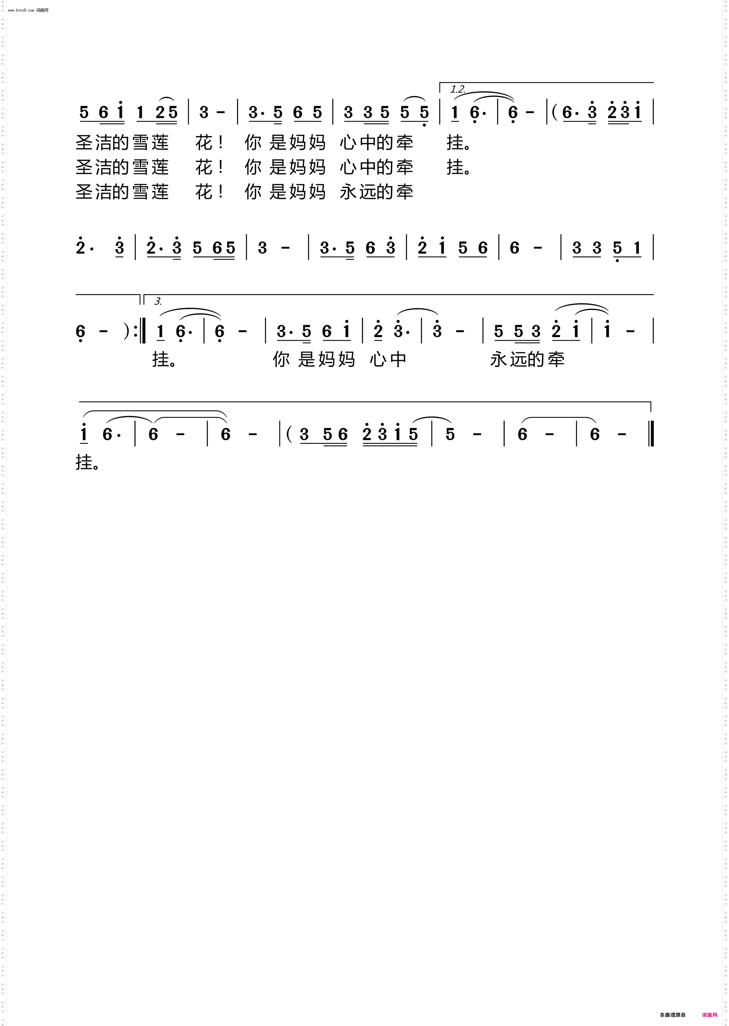 美丽的雪莲花_献给守护边疆解放军战士的歌