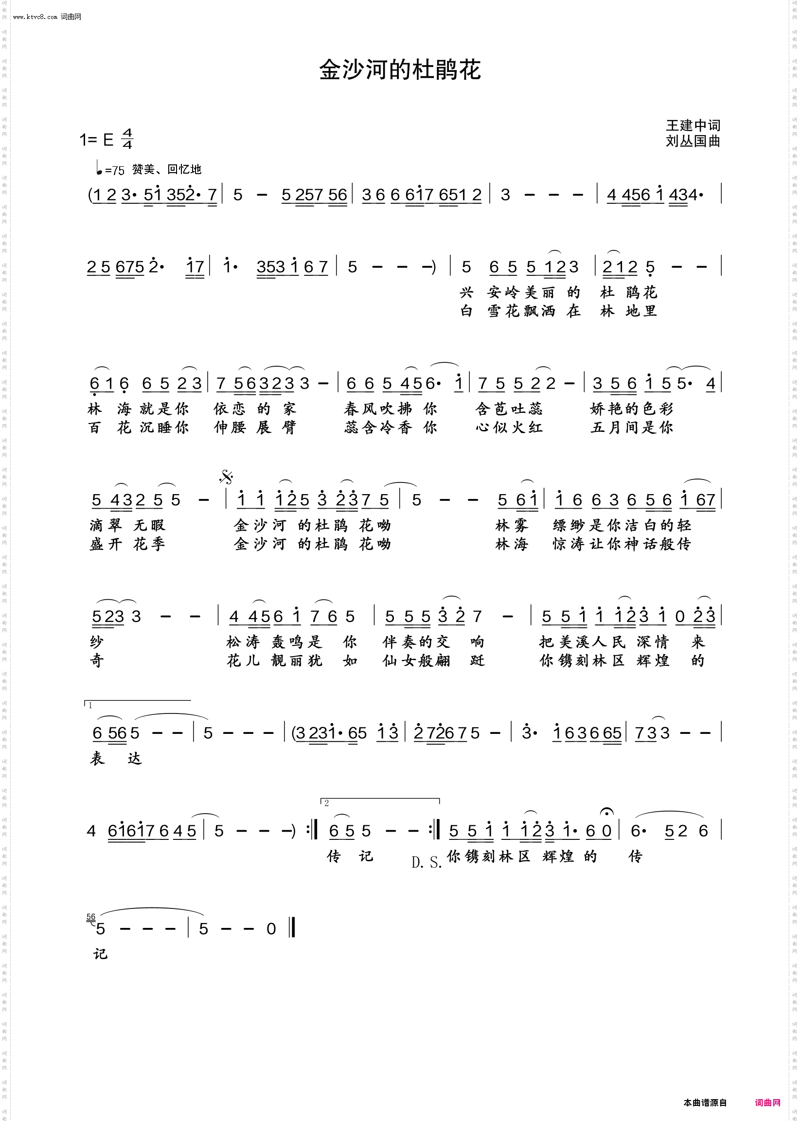 金沙河的杜鹃花