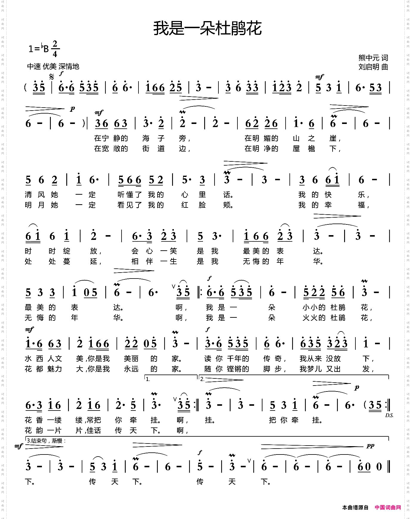 我是一朵杜鹃花