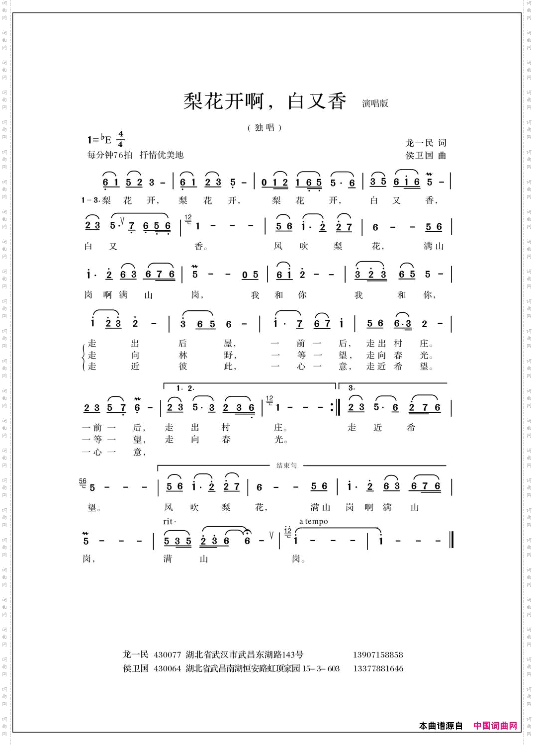 梨花开啊，白又香