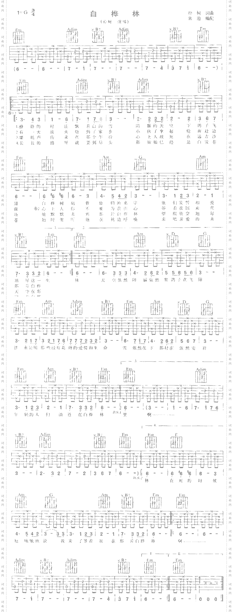 白桦林