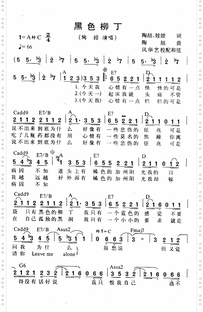 黑色柳丁
